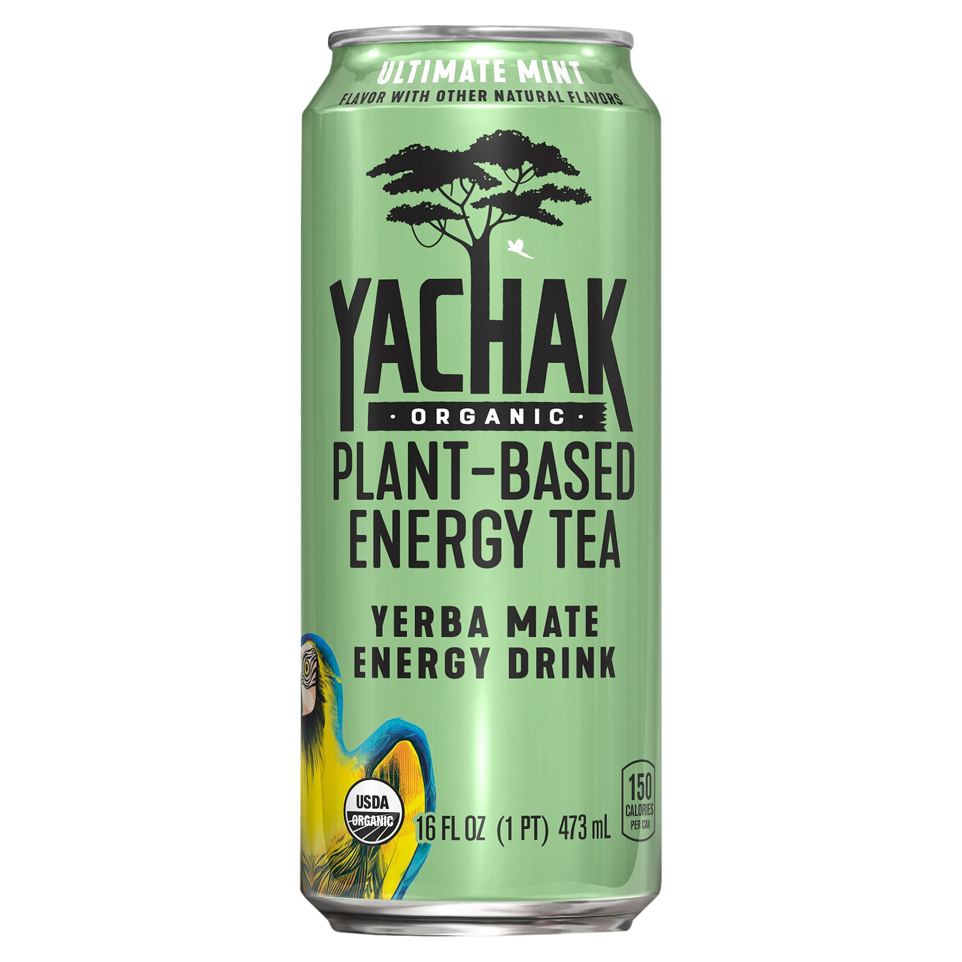 Yachak Organic Plant Based Energy Tea Yerba Mate Energy Drink Ultimate Mint