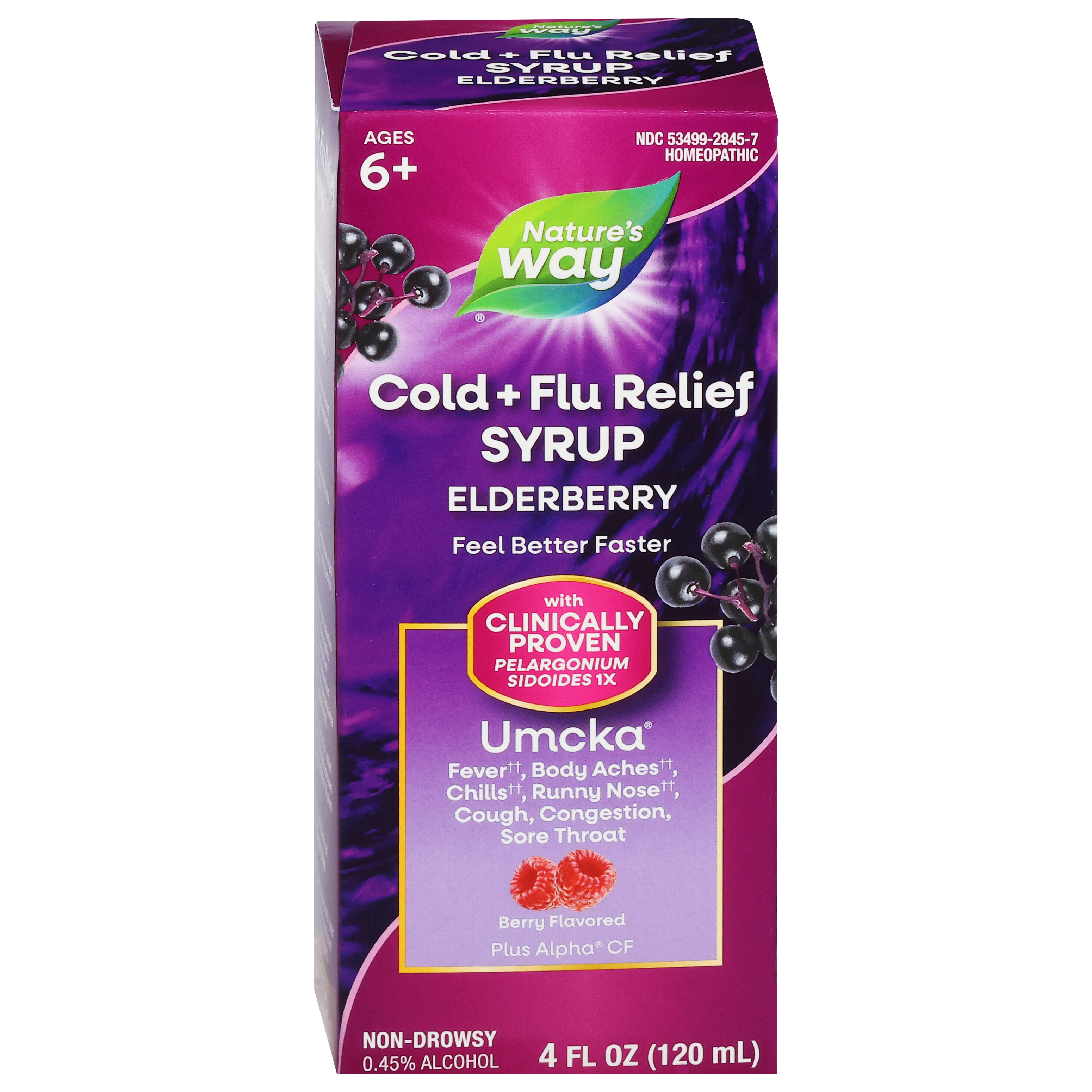 Nature's Way Elderberry Cold + Flu Relief Syrup