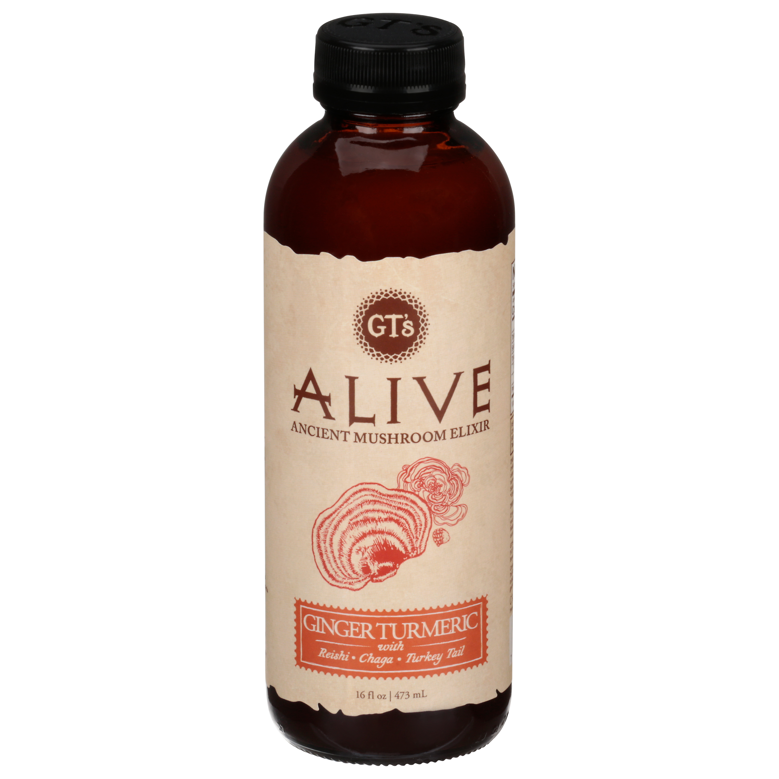 GT's Alive Ginger Turmeric Ancient Mushroom Elixir