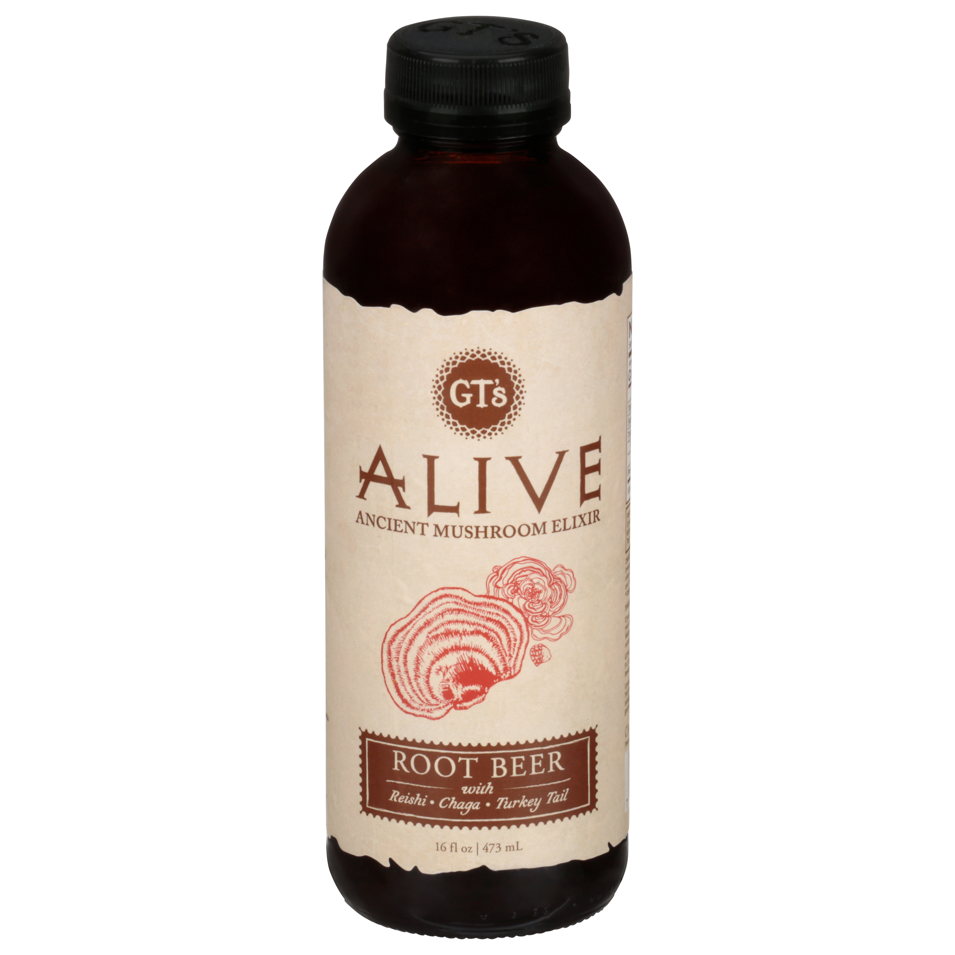 GT's Alive Root Beer Ancient Mushroom Elixir
