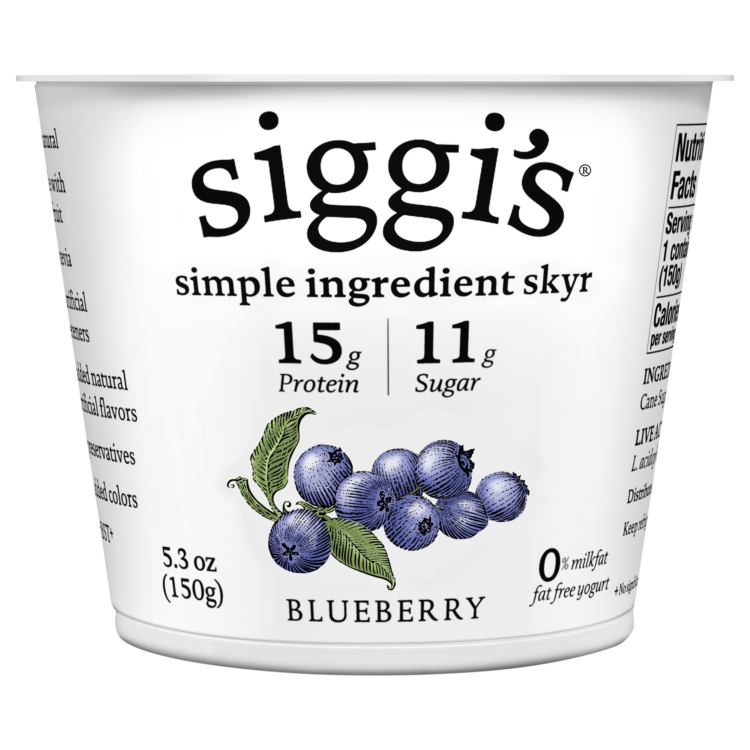 siggi’s Icelandic Skyr Nonfat Yogurt, Blueberry
