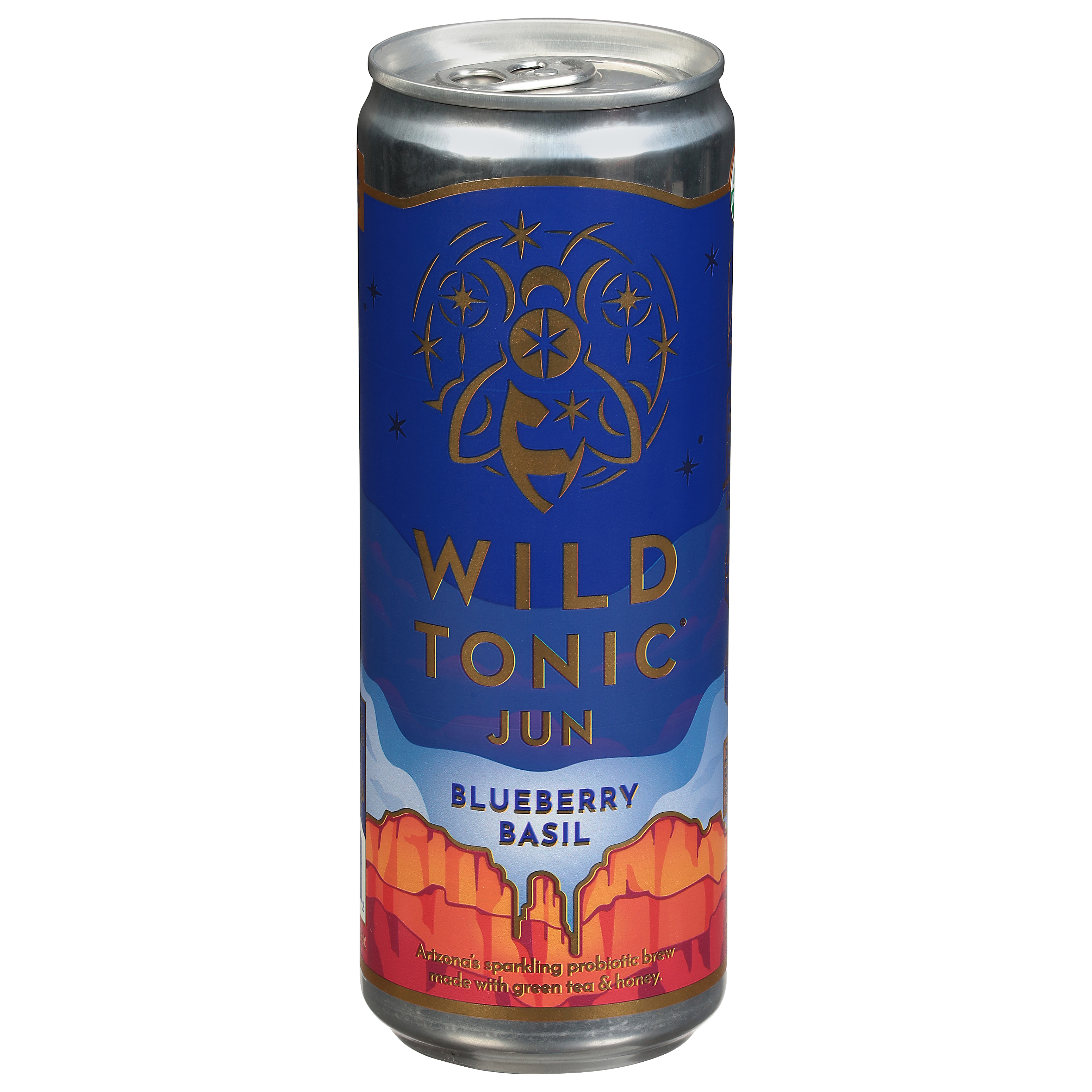 Wild Tonic Blueberry Basil Kombucha