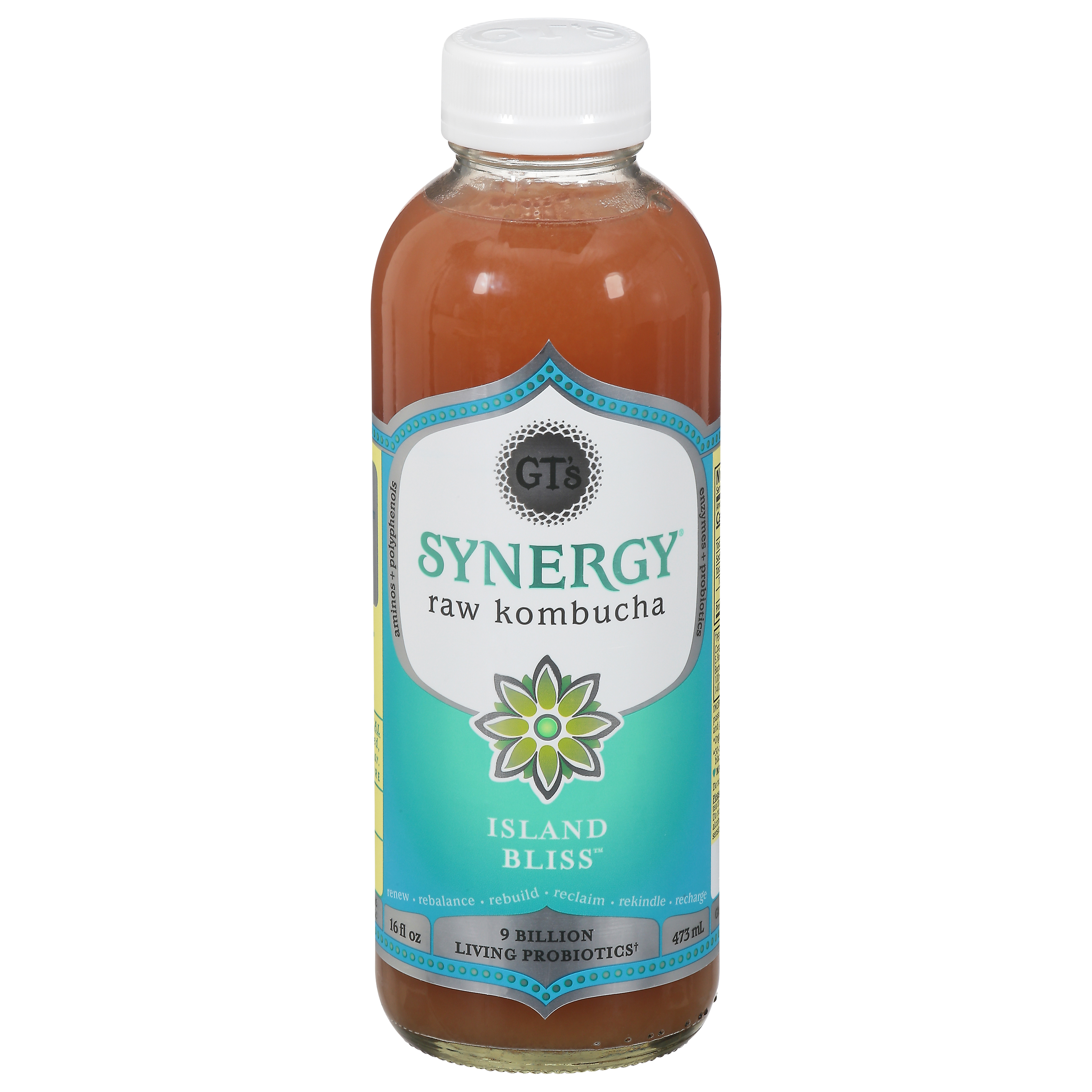 Synergy Island Bliss Raw Kombucha