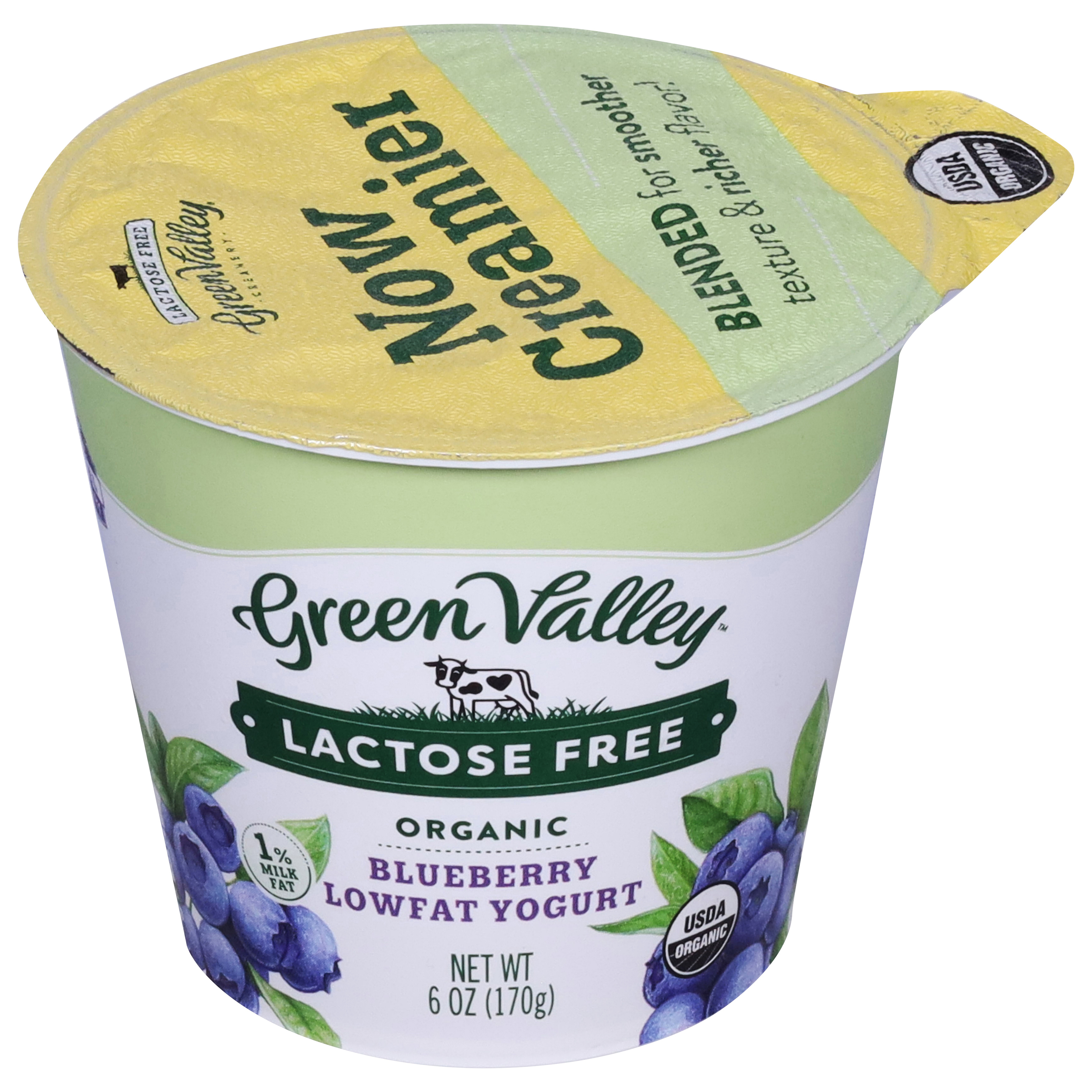 Green Valley Lactose Free Lowfat Organic Blueberry Yogurt