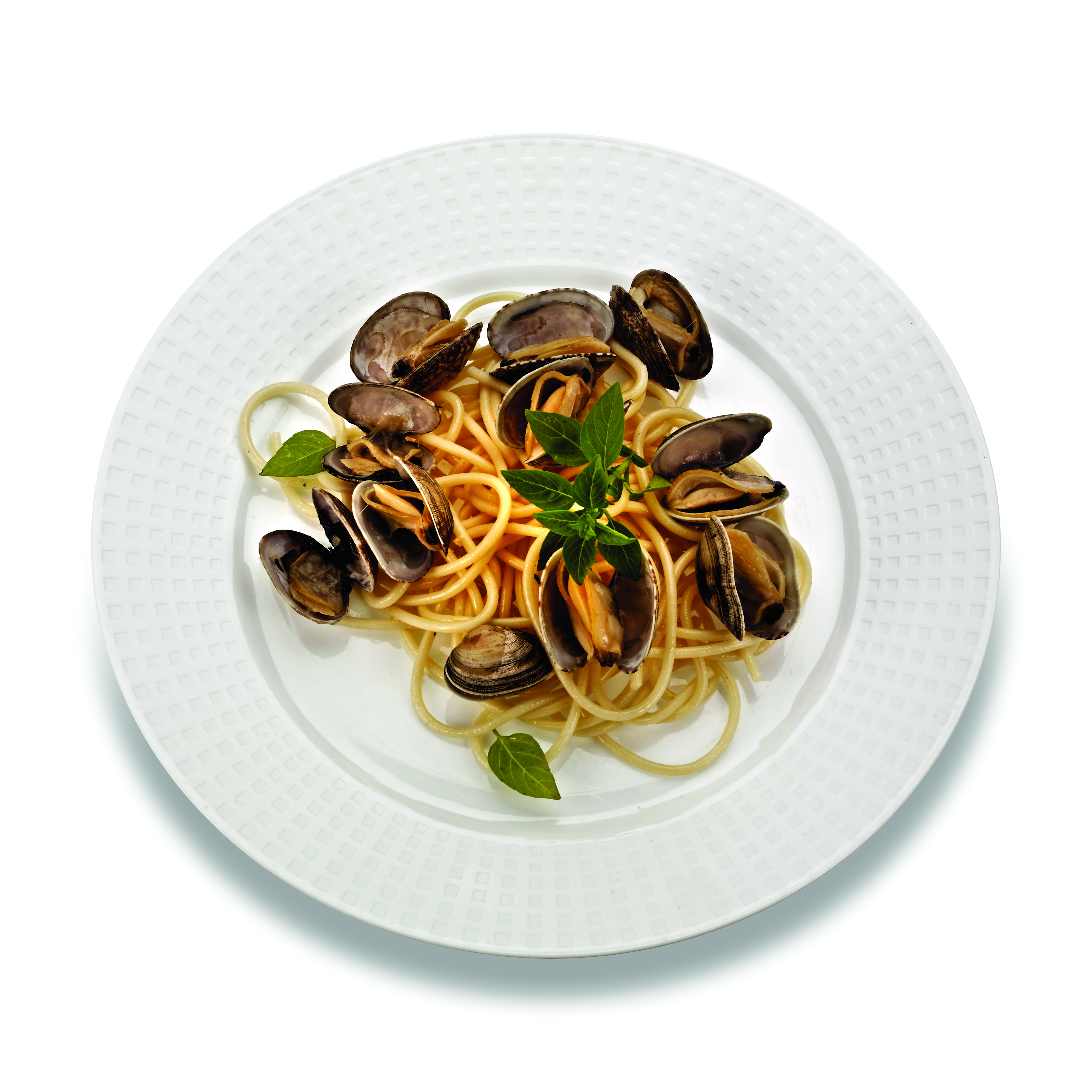 EMI-MJP10 10" WHITE MAJESTICPLATE  120/CS