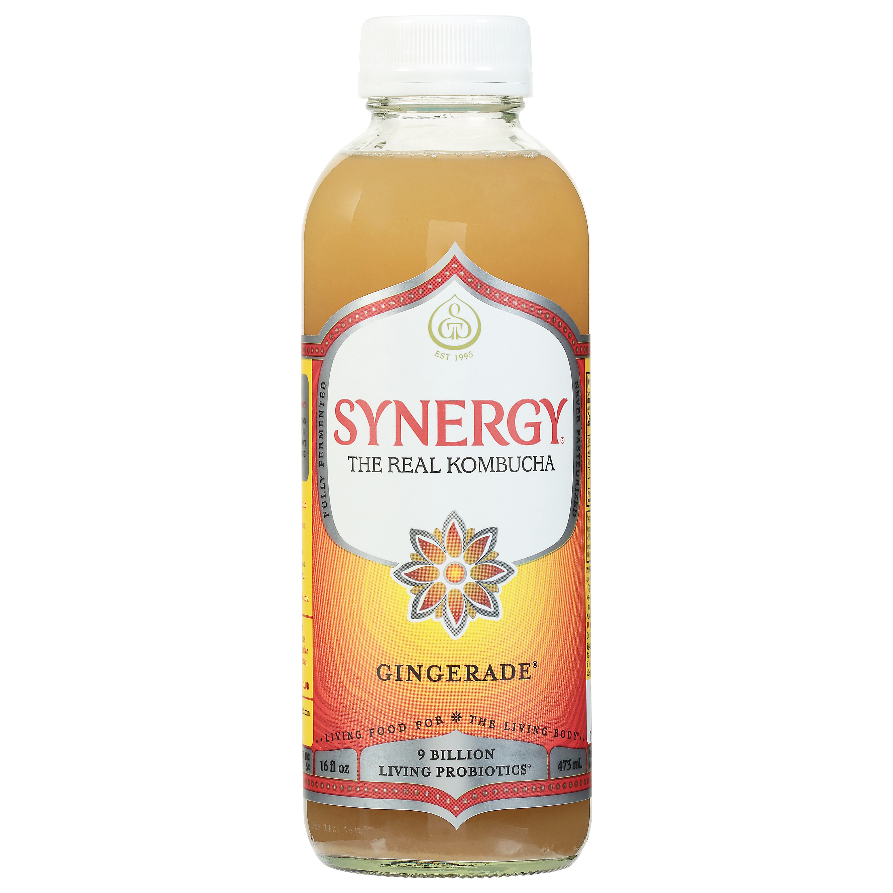 Synergy Gingerade Kombucha