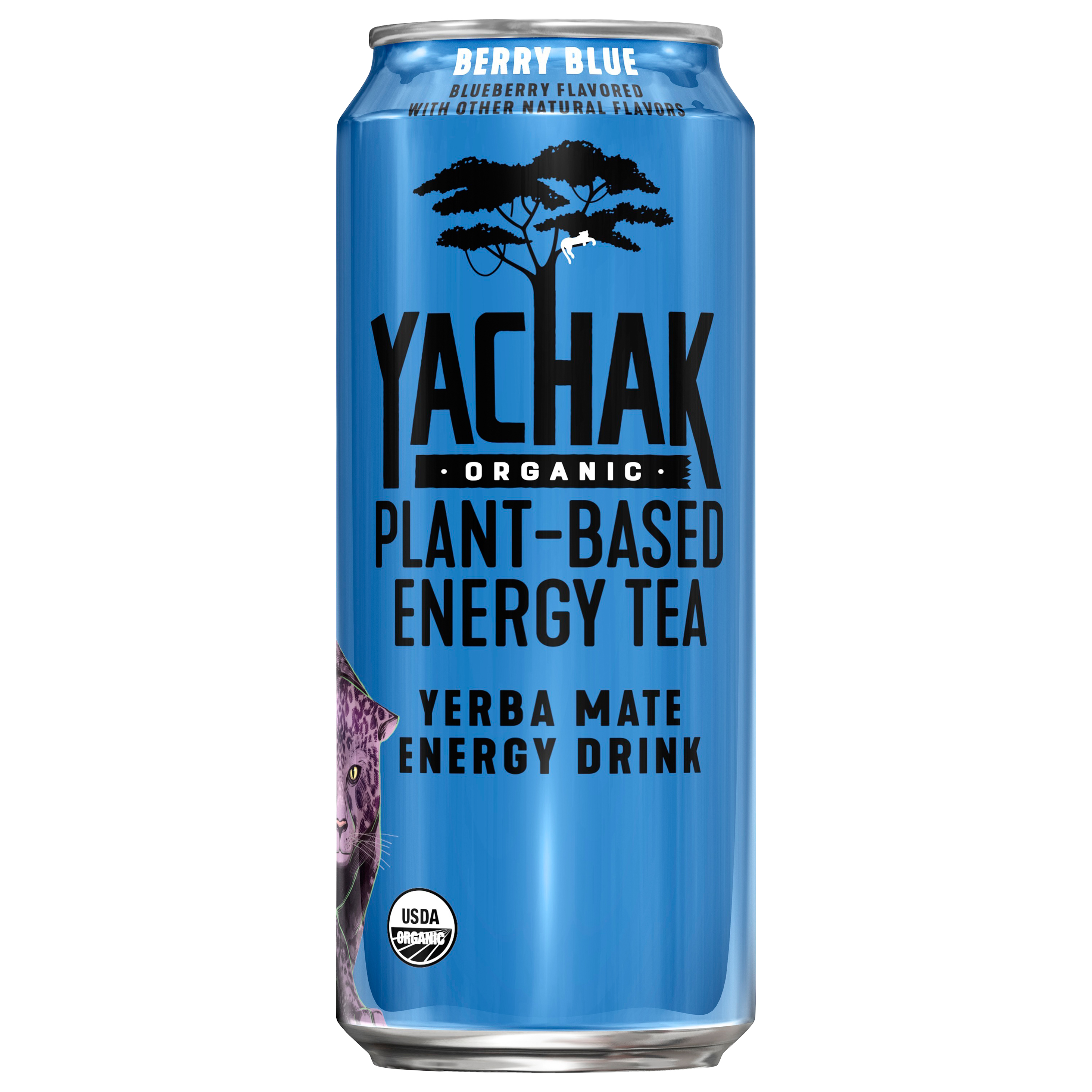 Yachak Organic Yerba Mate Energy Drink Plant Based Energy Tea Berry Blue Blueberry