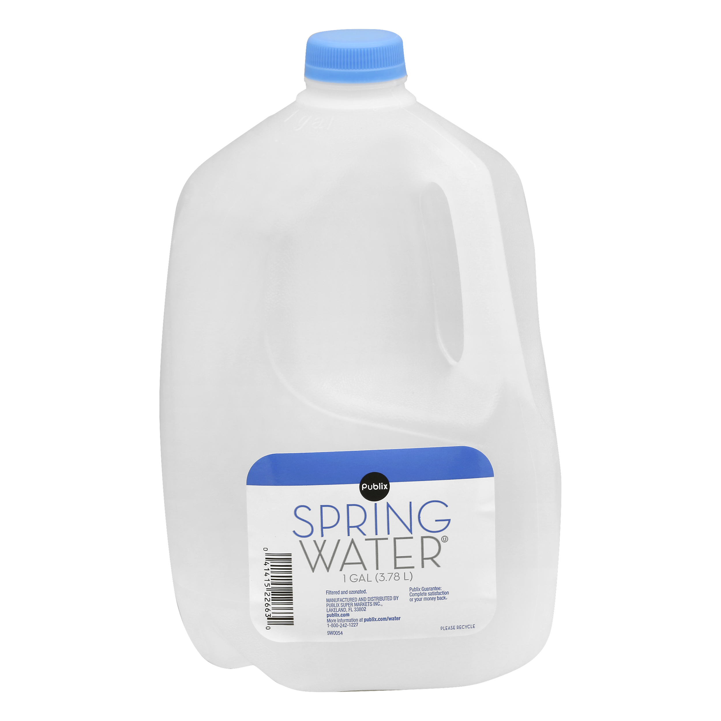 Publix Spring Water 1 gl JUG