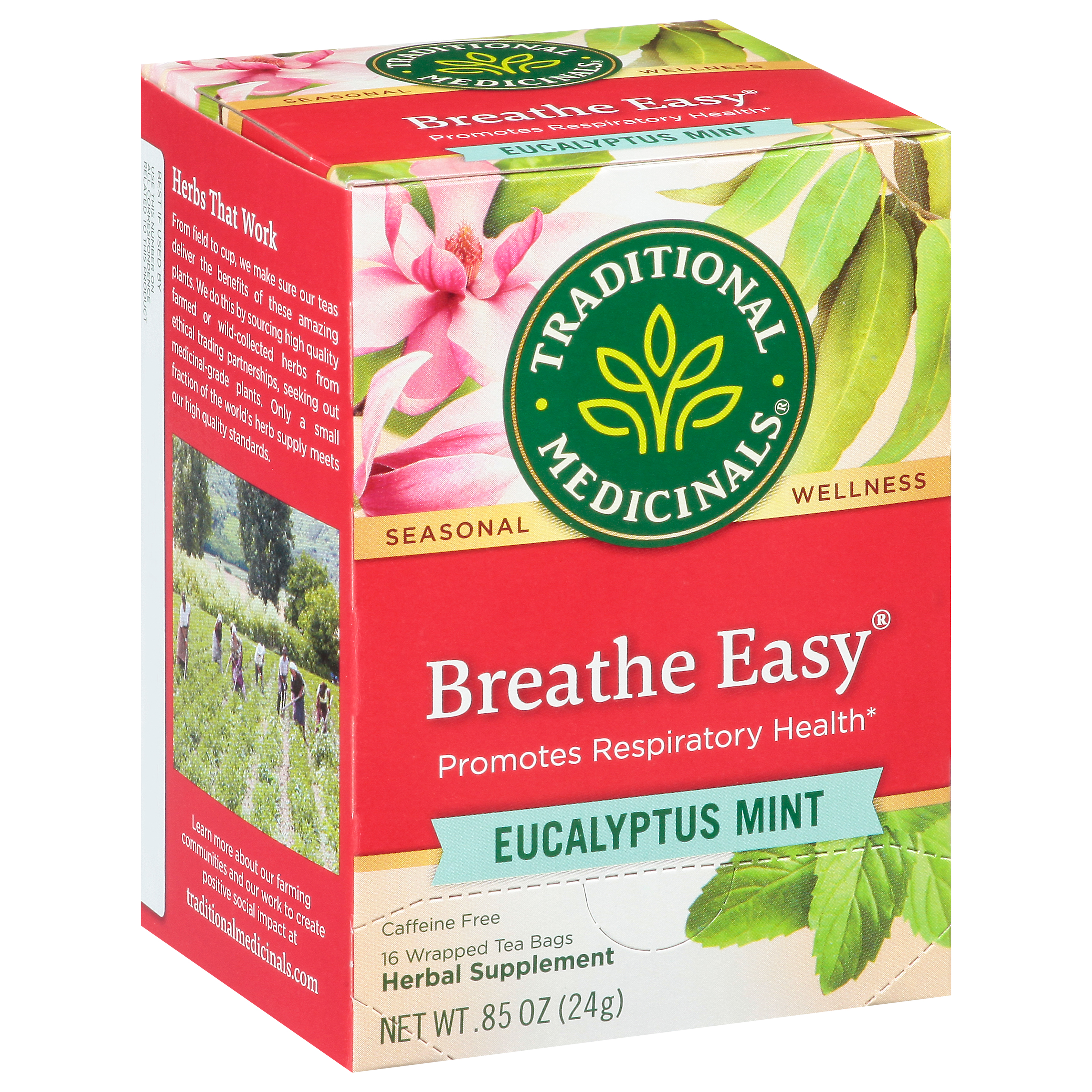 Traditional Medicinals Tea Bags Breathe Easy Eucalyptus Mint Herbal Supplement