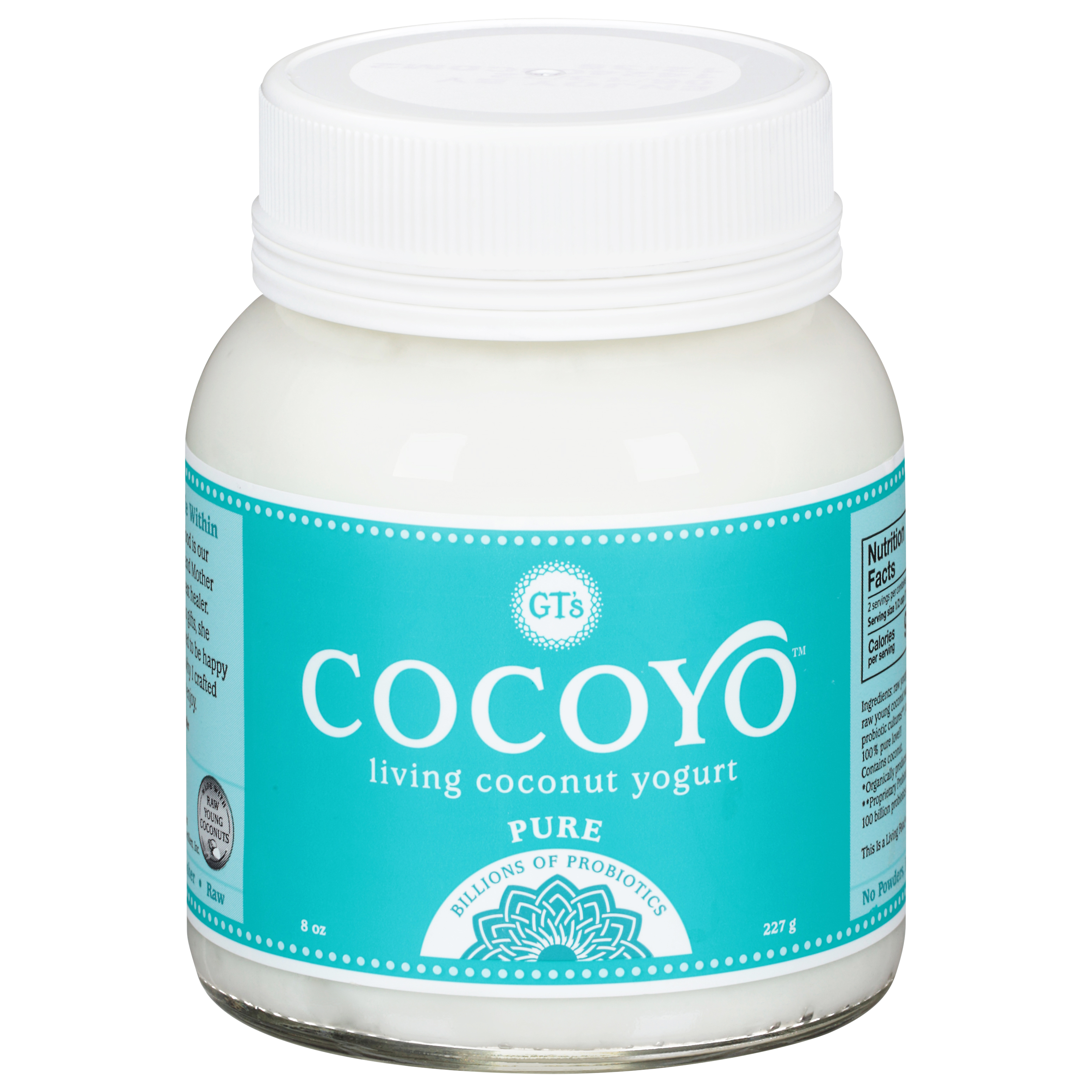 GT's Cocoyo Pure Coconut Yogurt