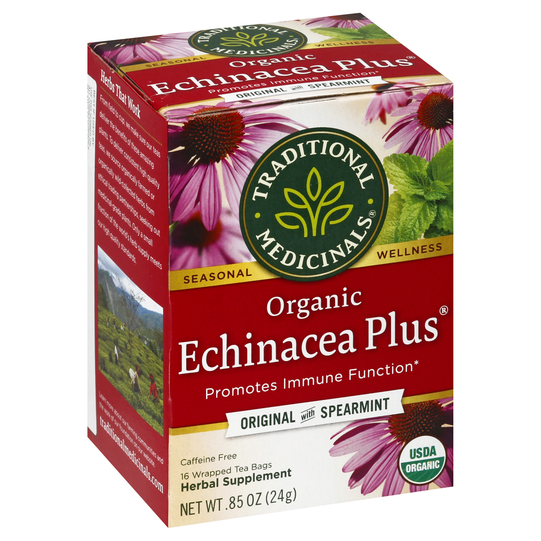 Traditional Medicinals Organic Echinacea Plus Caffeine Free Tea Bags Original with Spearmint Herbal Supplement
