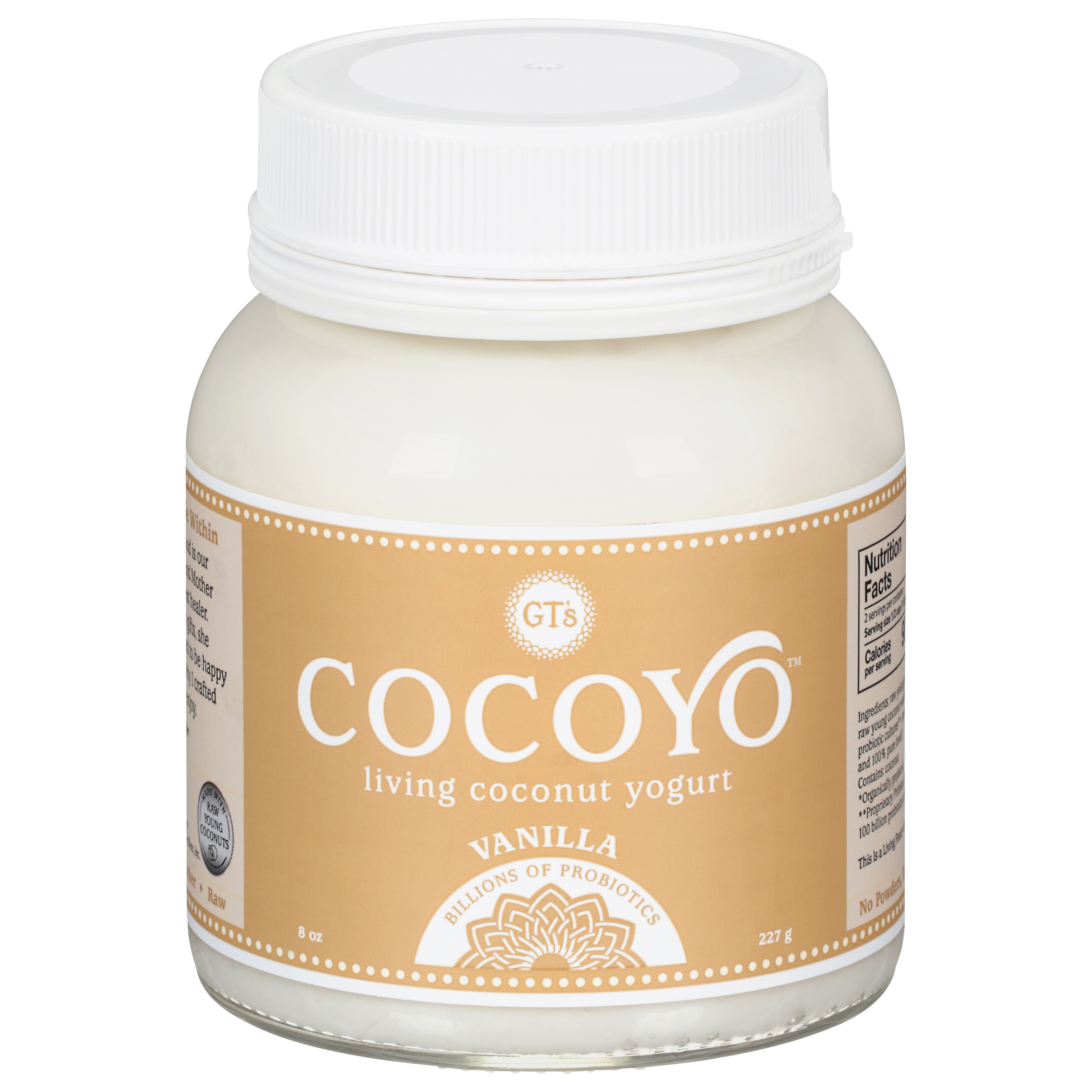 GT's Cocoyo Vanilla Coconut Yogurt