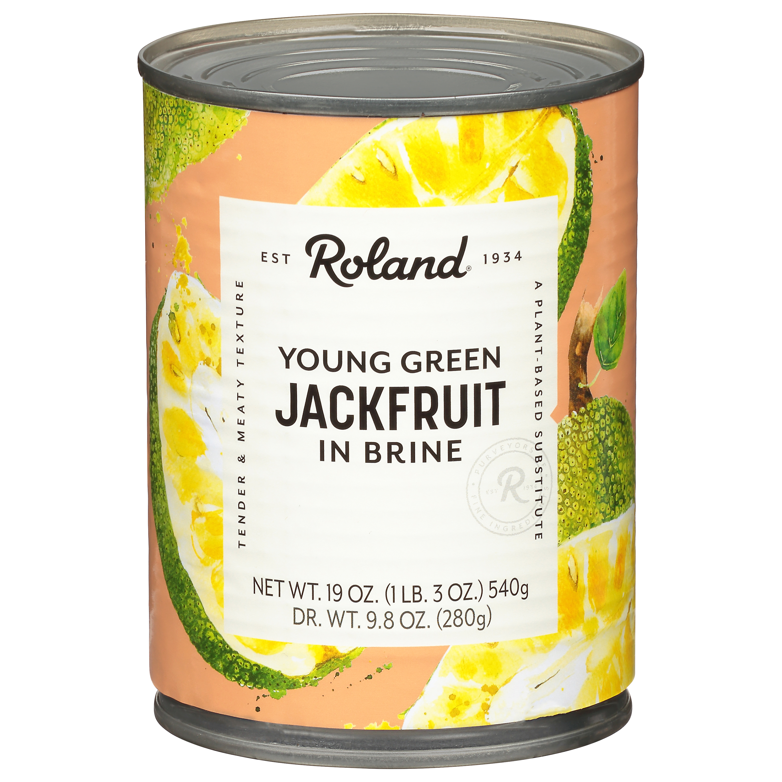Roland In Brine Young Green Jackfruit