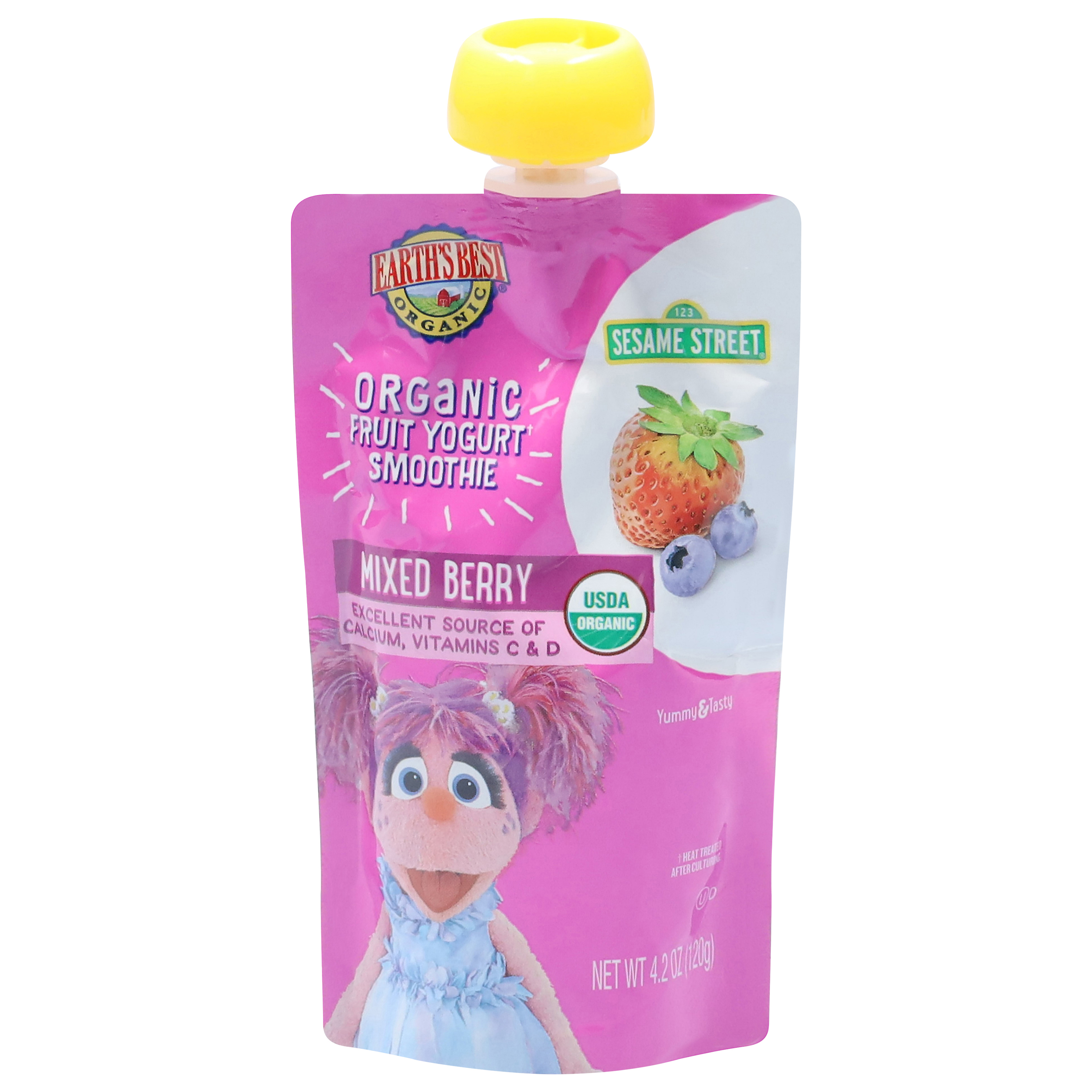 Earth's Best Organic Mixed Berry Fruit Yogurt Smoothie