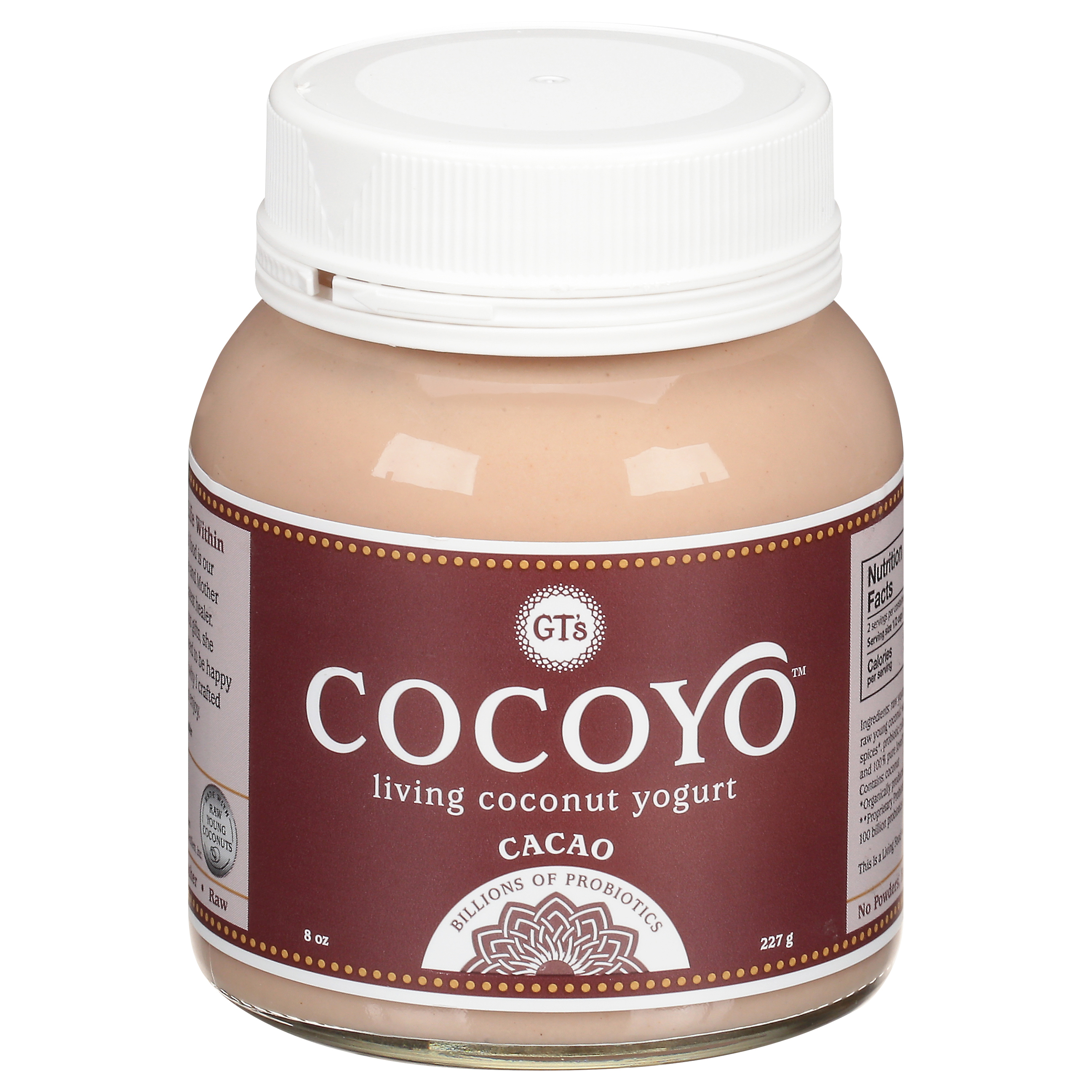 GT's Cocoyo Cacao Coconut Yogurt