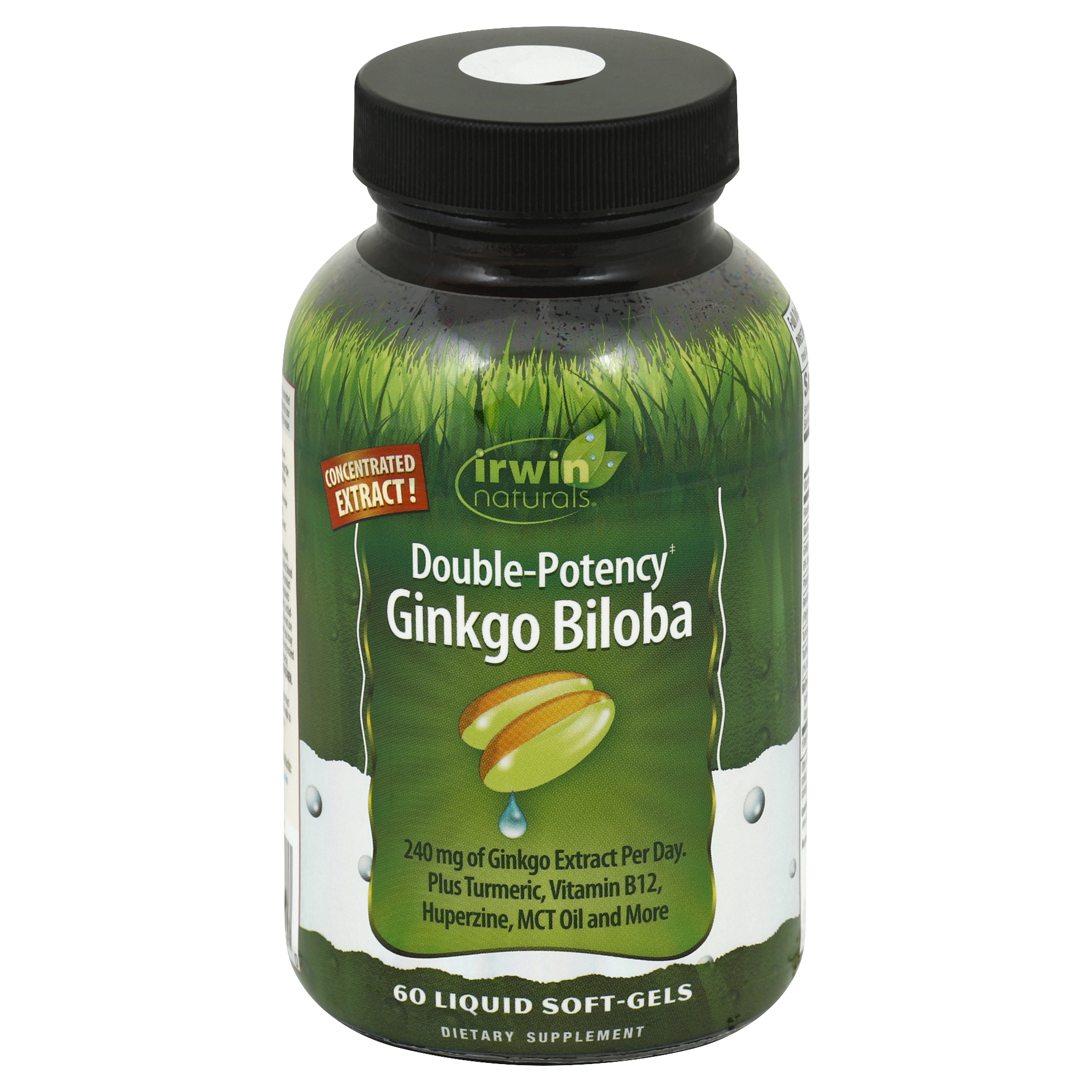 Irwin Naturals Ginkgo Biloba
