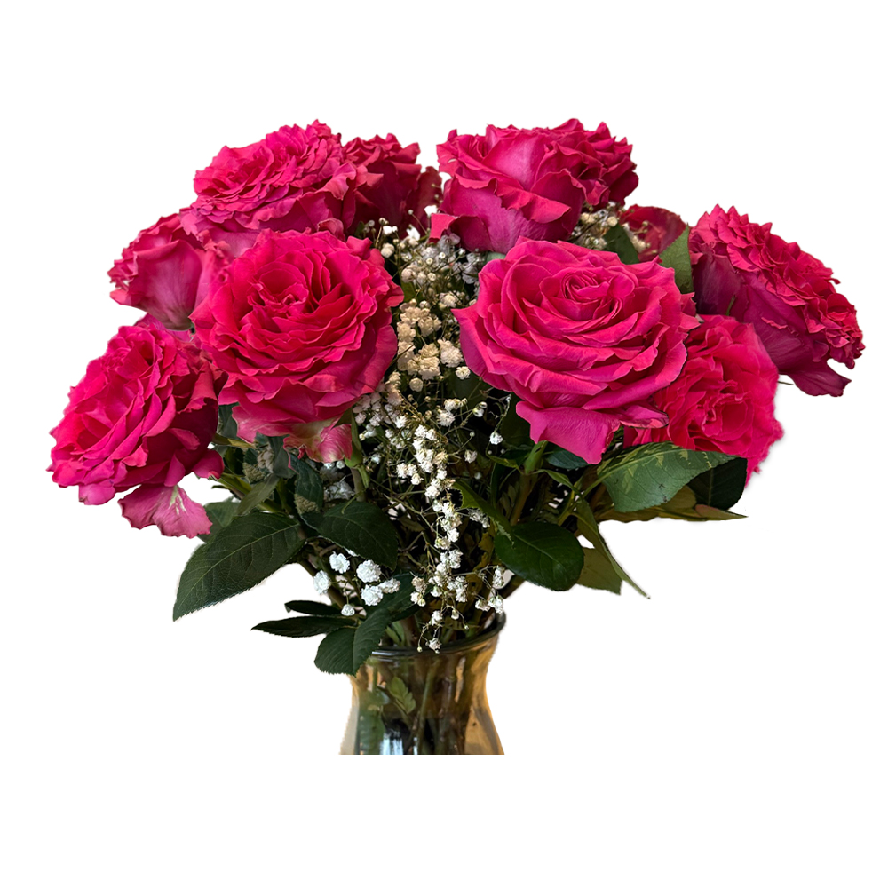 Cub Dozen Rose Arrangement (Vase Included), 1 Each