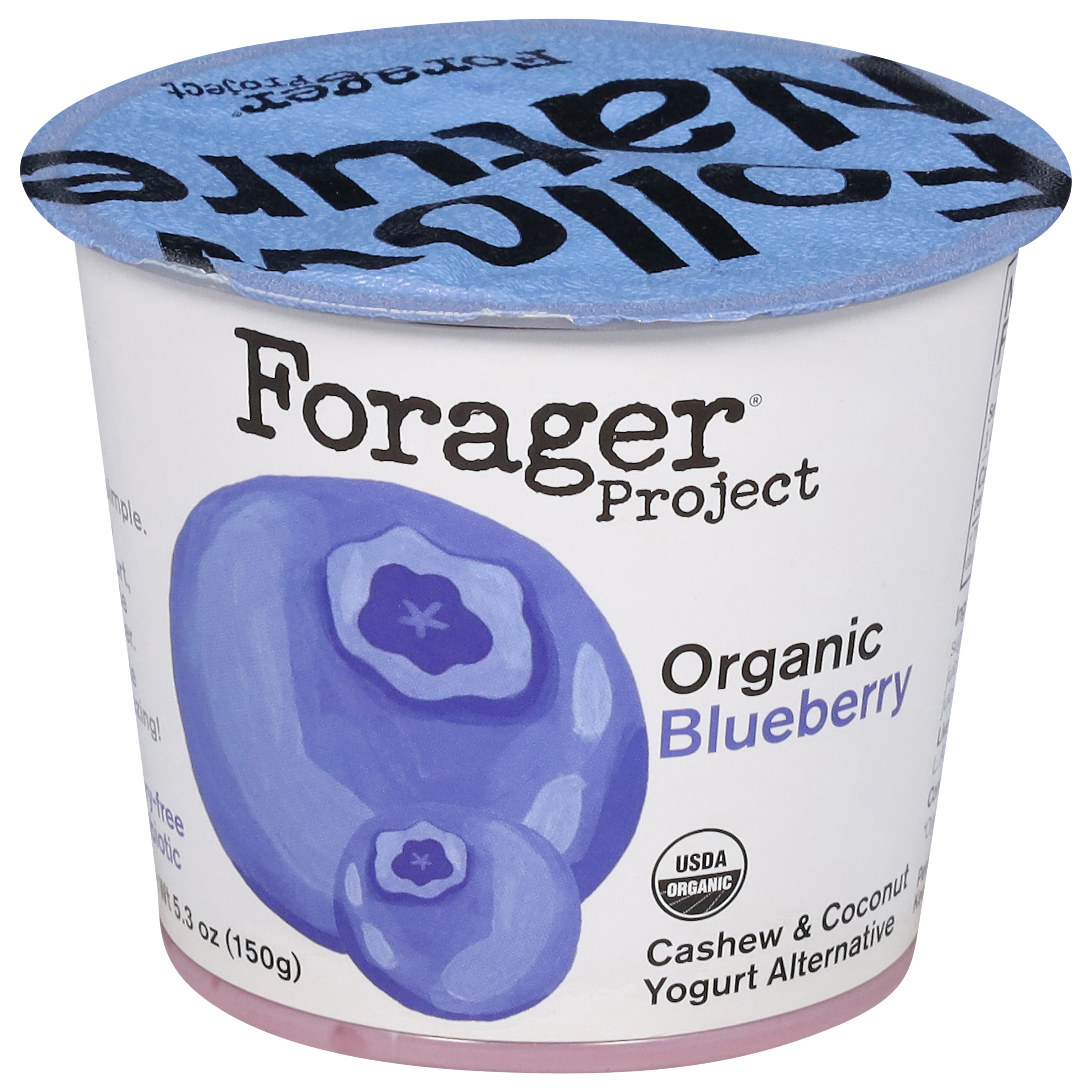 Forager Project Dairy-Free Organic Blueberry Cashewmilk Yogurt