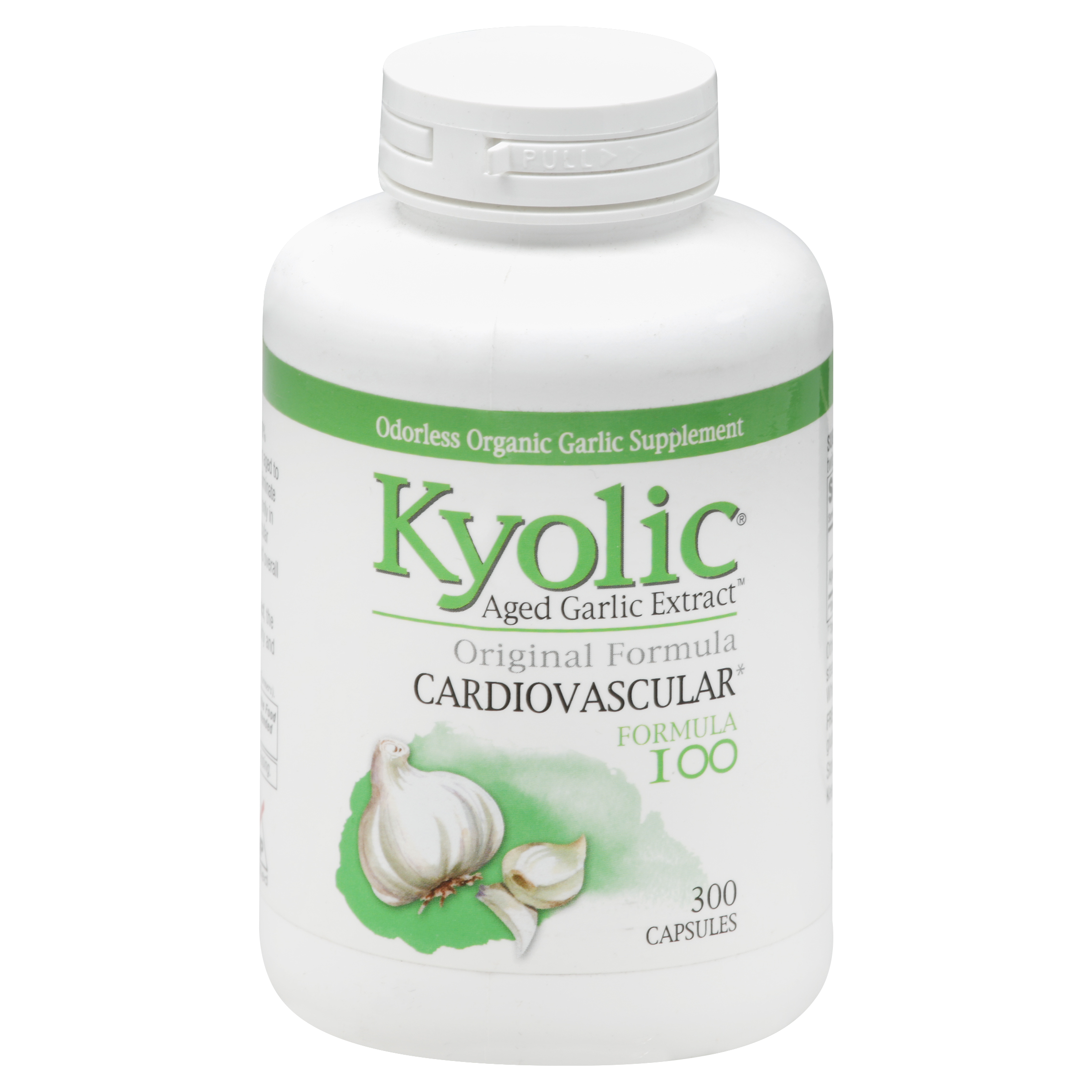 Kyolic Aged Garlic Extract