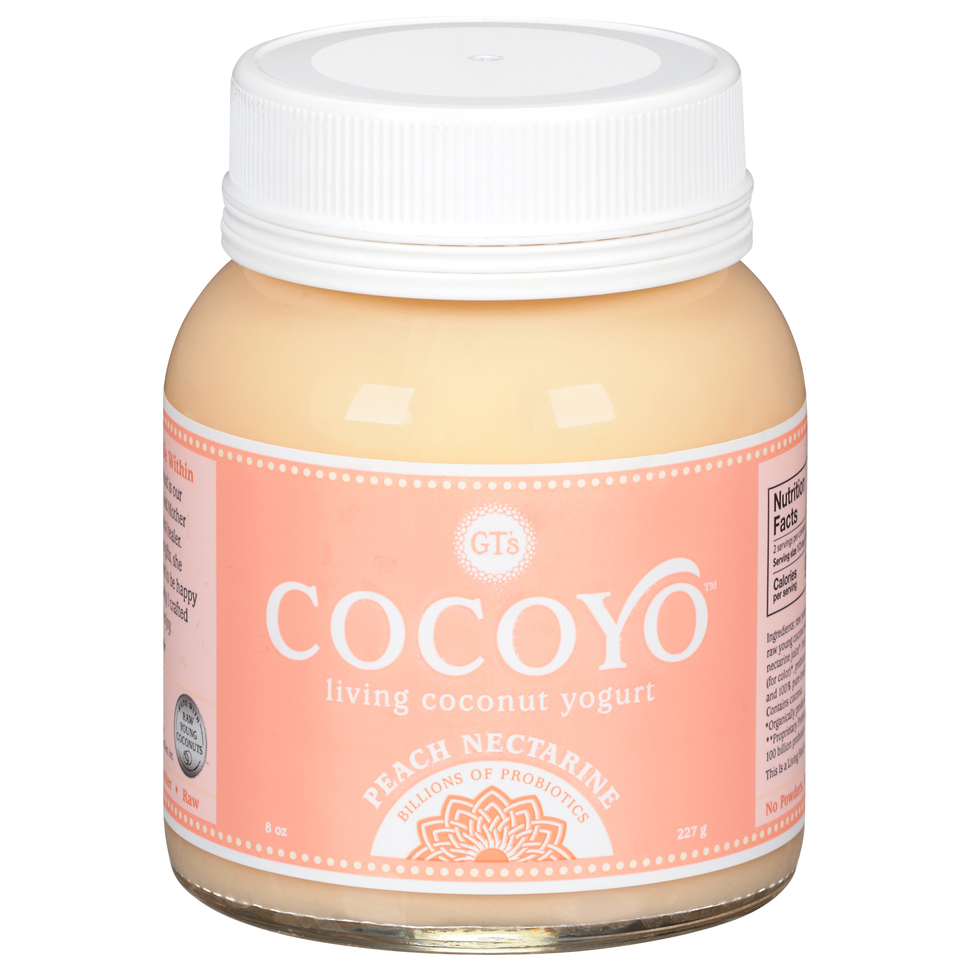GT's Cocoyo Peach Nectarine Coconut Yogurt