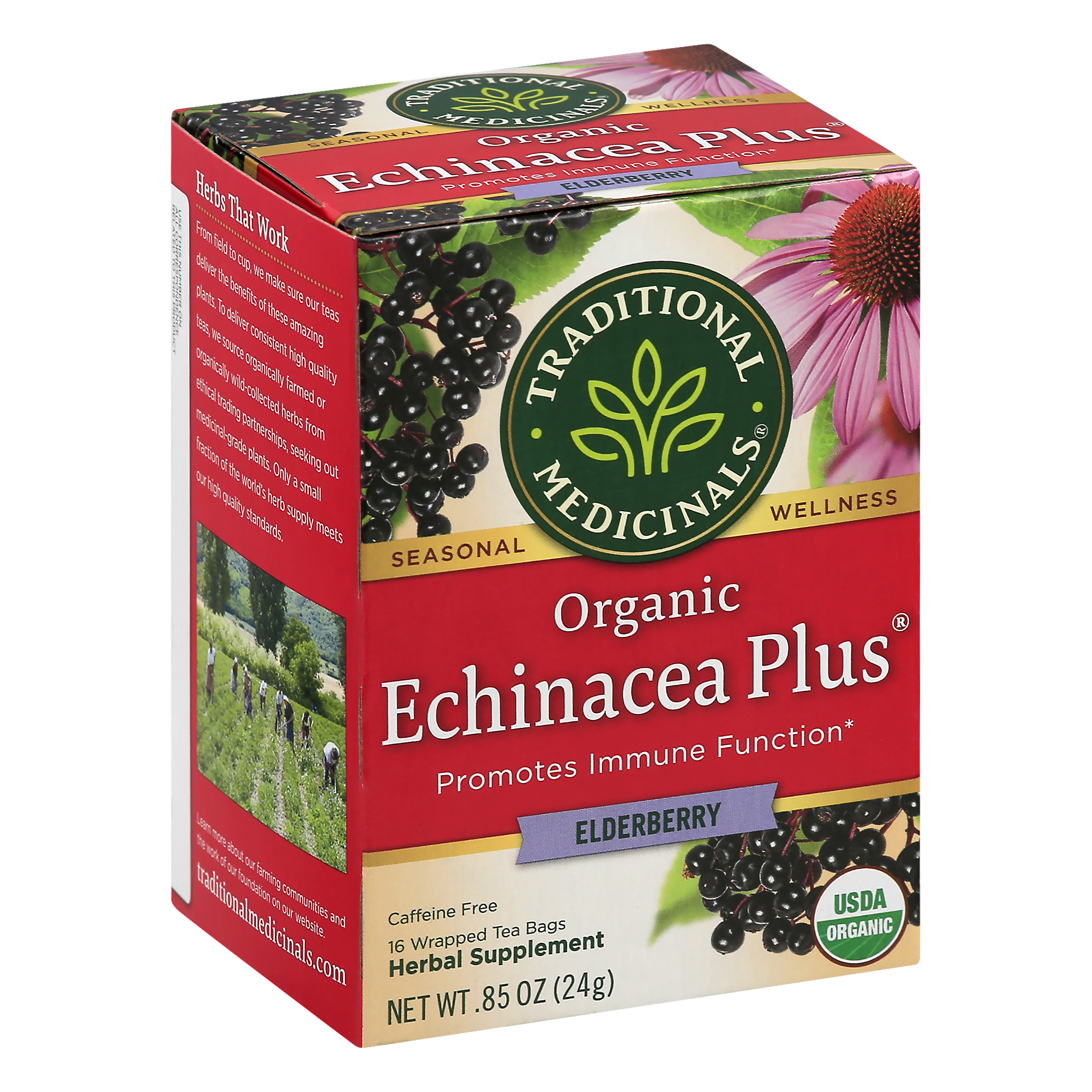 Traditional Medicinals Organic Echinacea Plus Tea Bags Elderberry Herbal Supplement