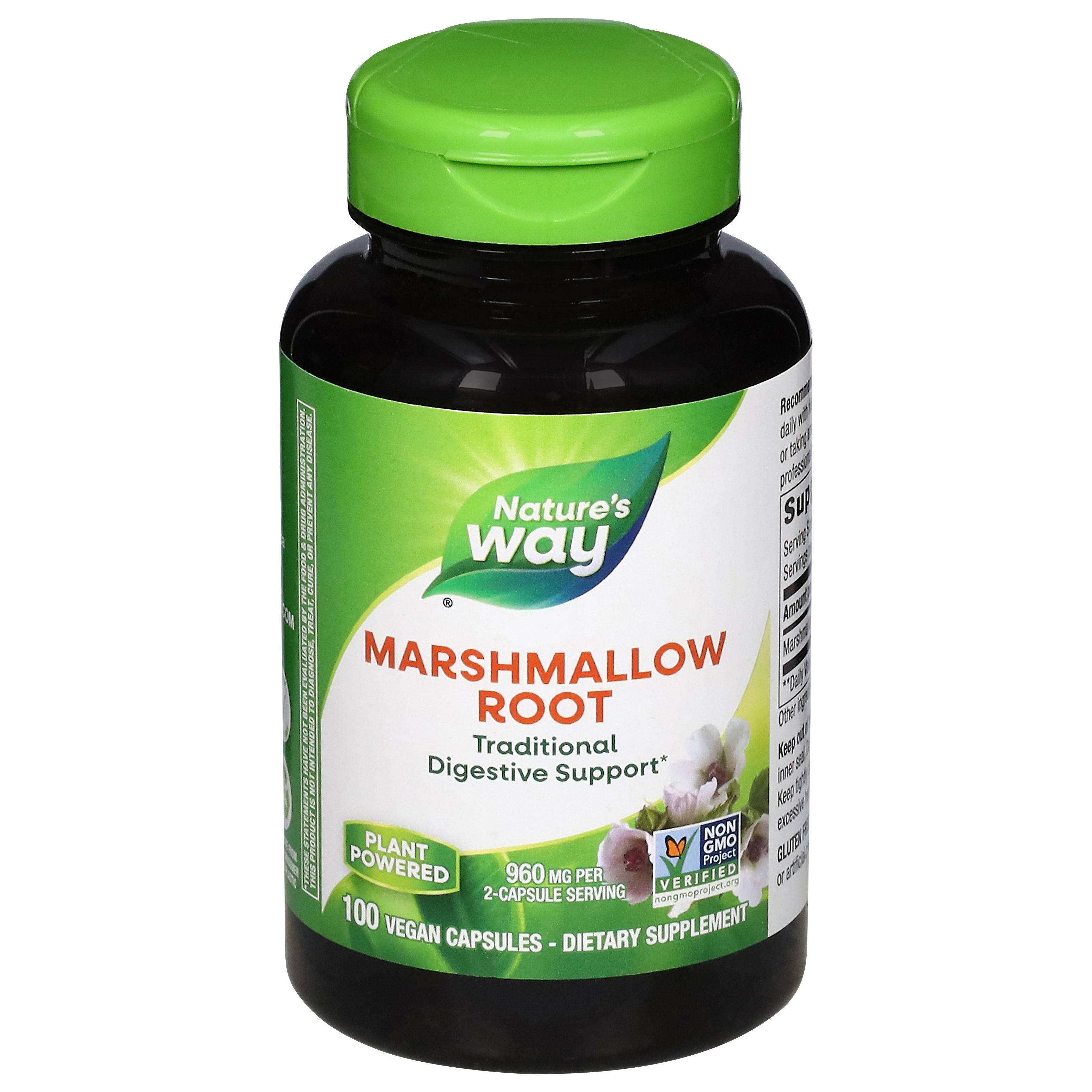 Nature's Way Digestive Root 100 Vegan Capsules