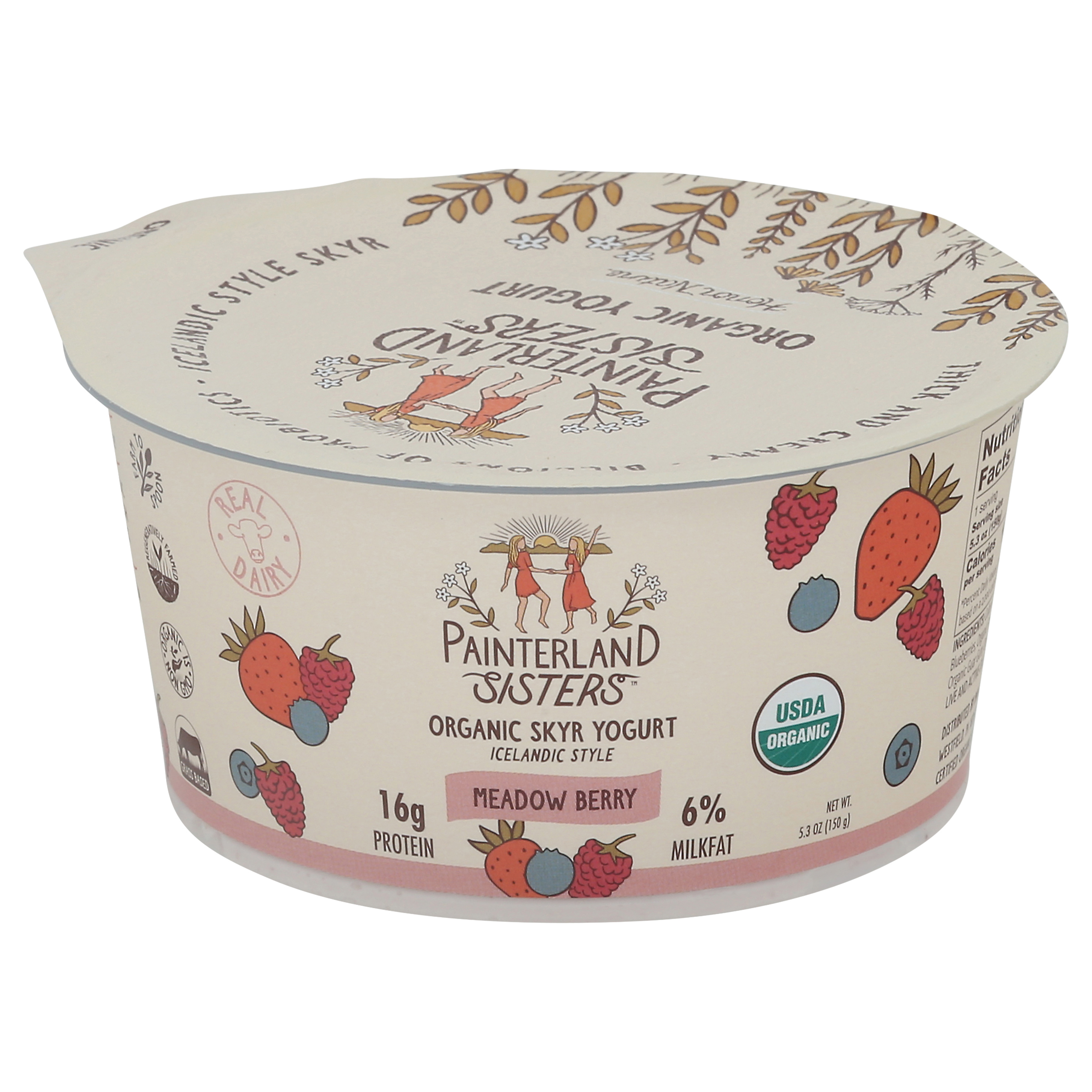 Painterland Sisters Organic 6% Milkfat Icelandic Style Meadow Berry Skyr Yogurt