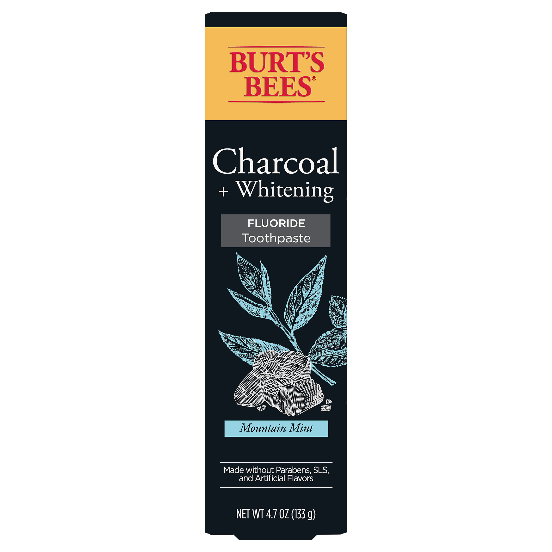 Burt’s Bees Toothpaste, Natural Flavor, Charcoal with Fluoride Toothpaste, Mountain Mint,