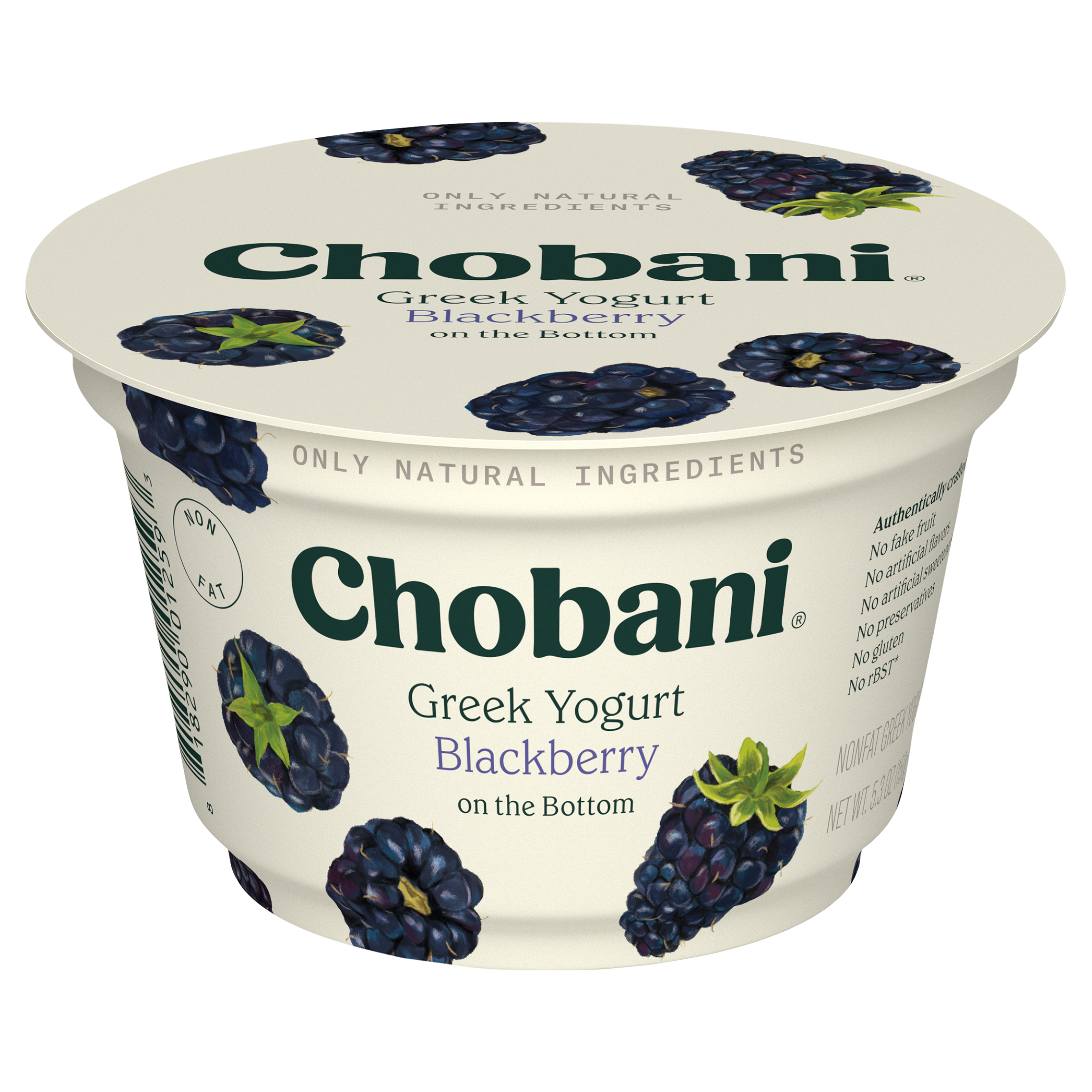 Chobani® Non-Fat Greek Yogurt Blackberry on the Bottom