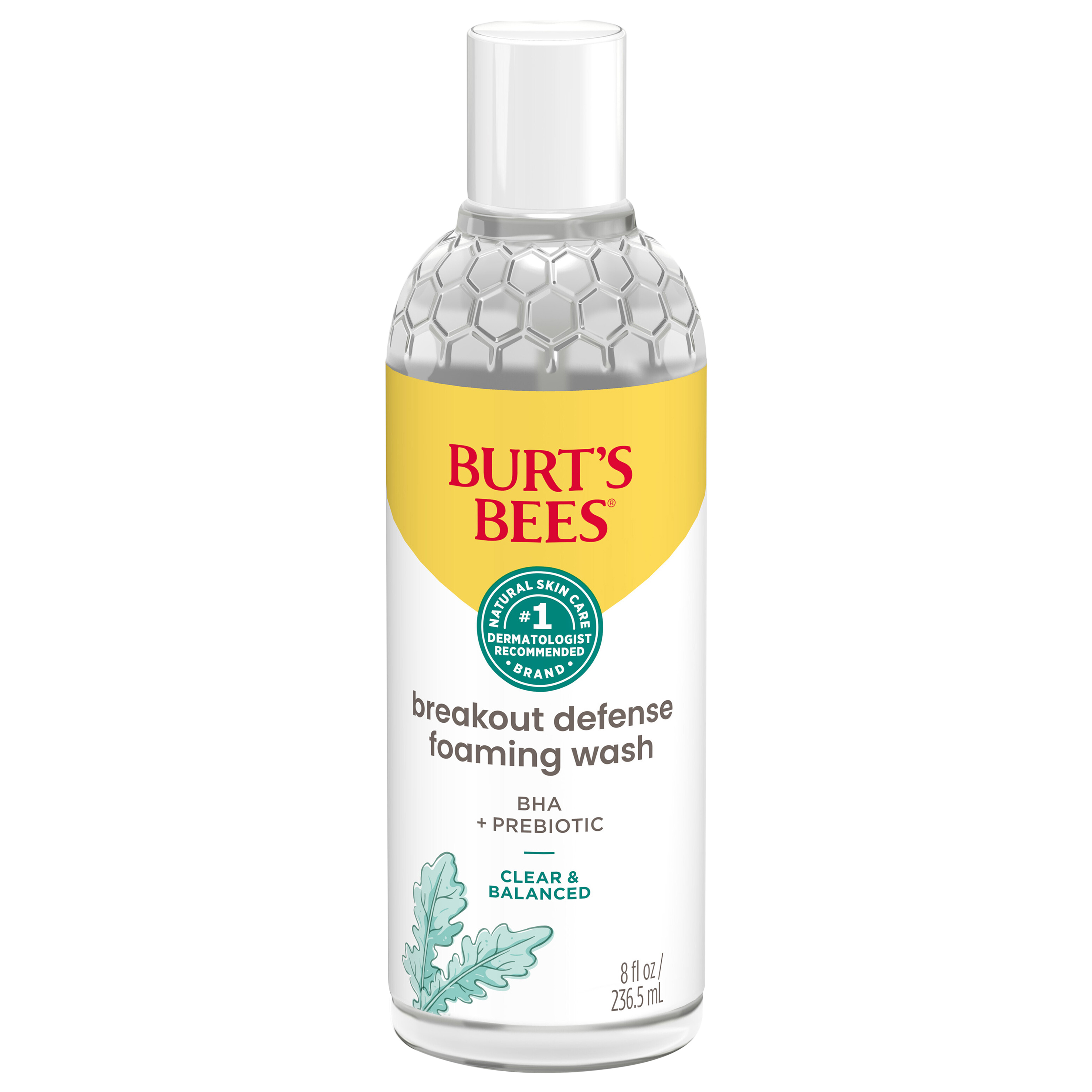 Burt's Bees Clear & Balanced Foaming Wash 12/8fo