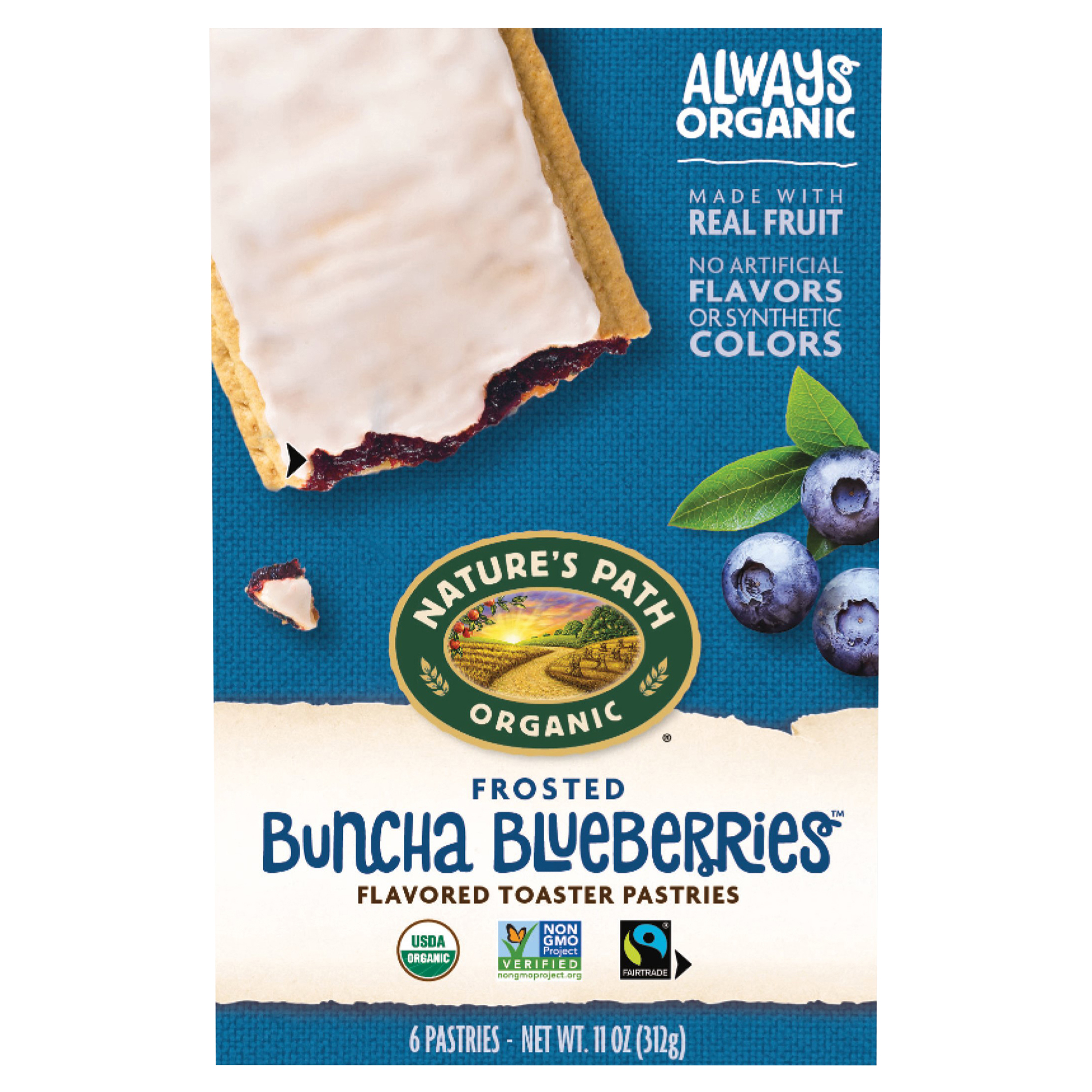 Nature's Path Organic Blueberry Frosted Toaster Pastries 11oz Box