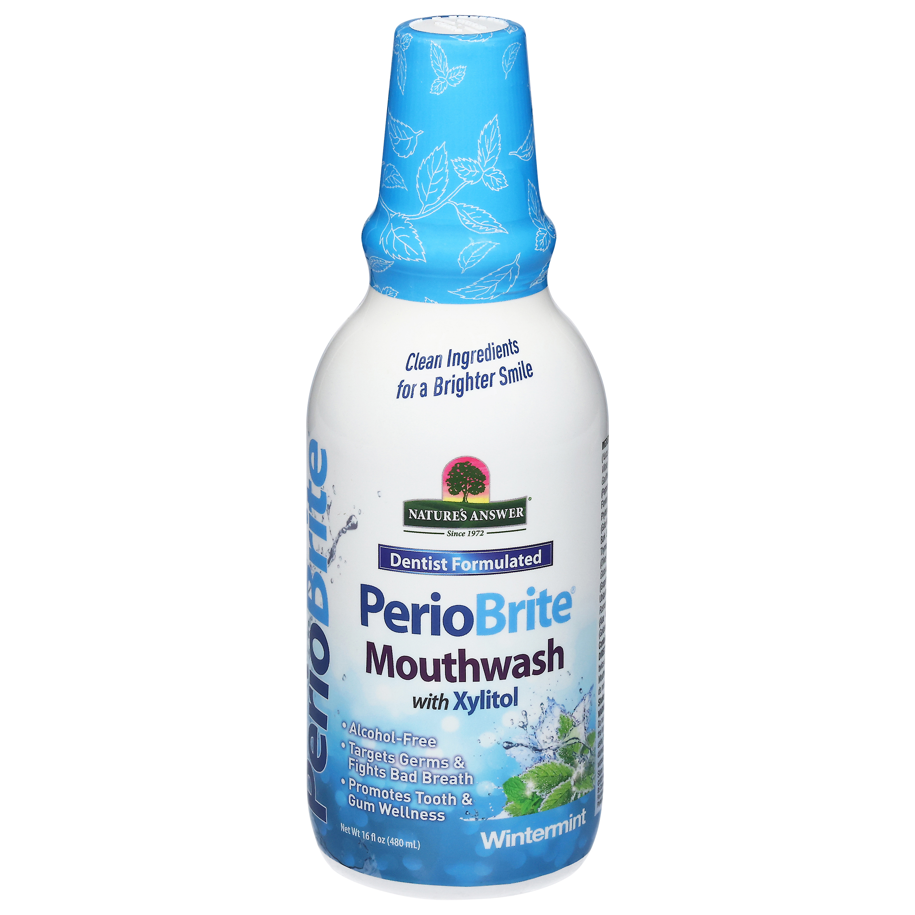 Nature's Answer PerioBrite Dentist Formulated Wintermint Mouthwash with Xylitol