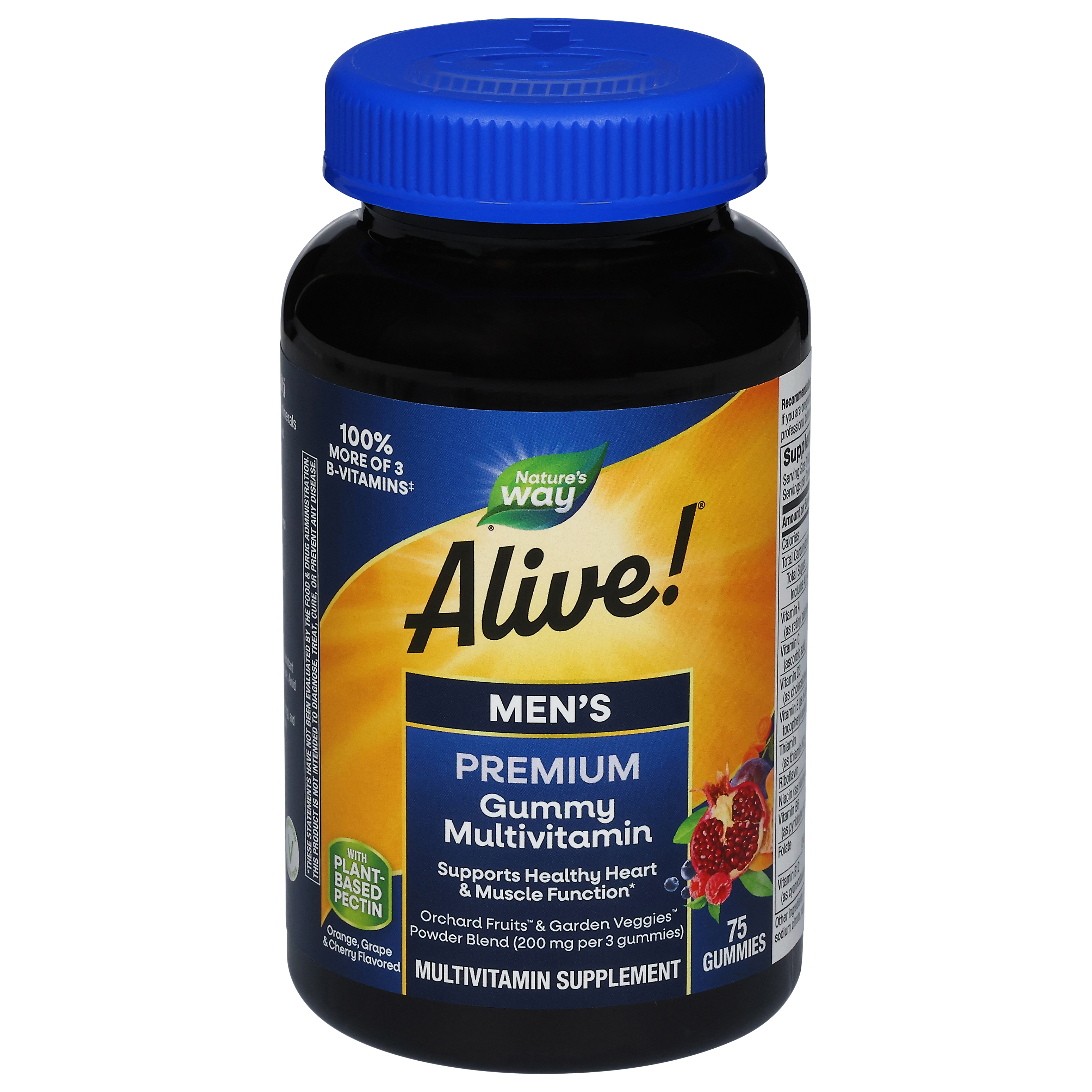 Nature's Way Alive! Men's Premium Orange, Grape & Cherry Flavored Multivitamin 75 Gummies