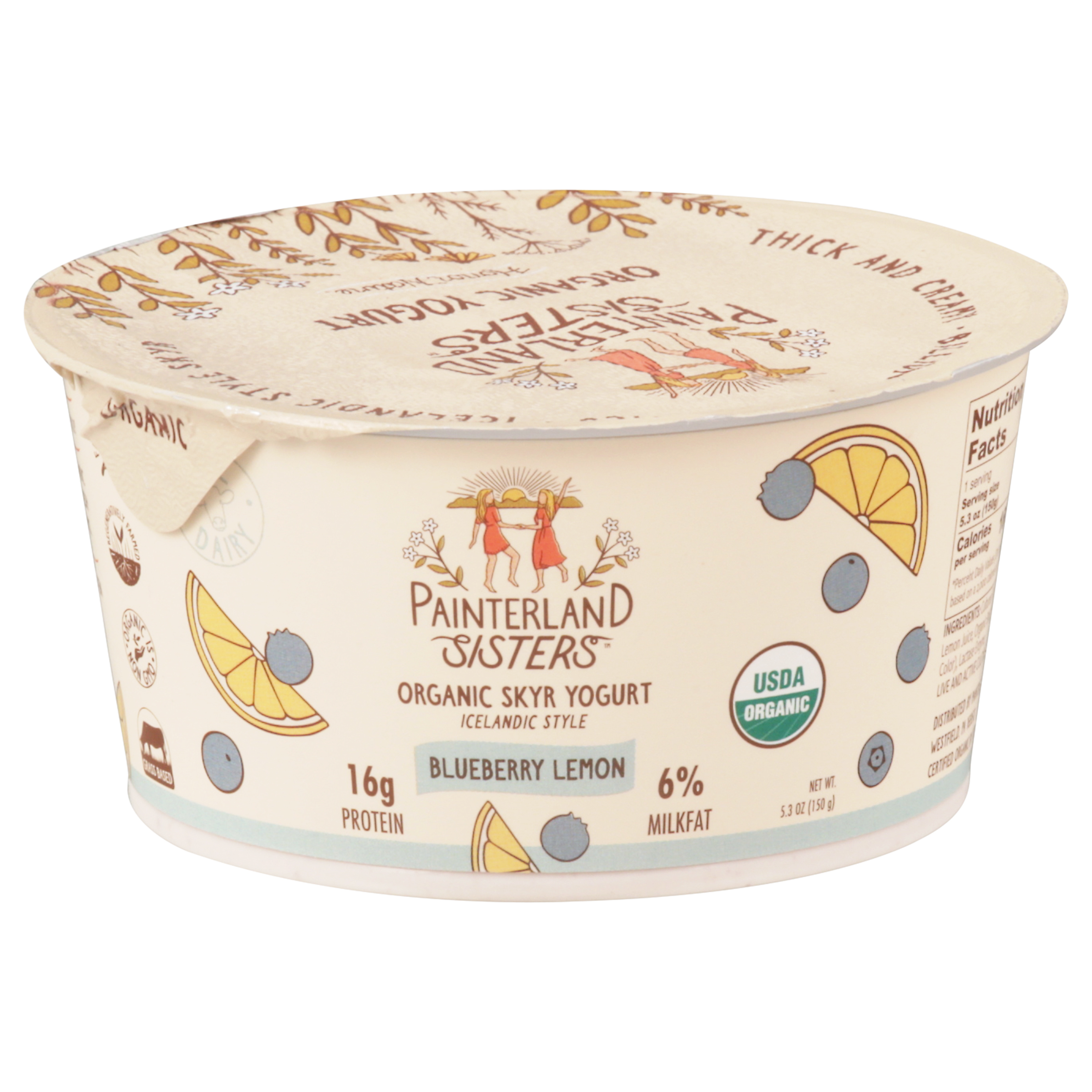 Painterland Sisters Organic Skyr Icelandic Style Blueberry Lemon Yogurt