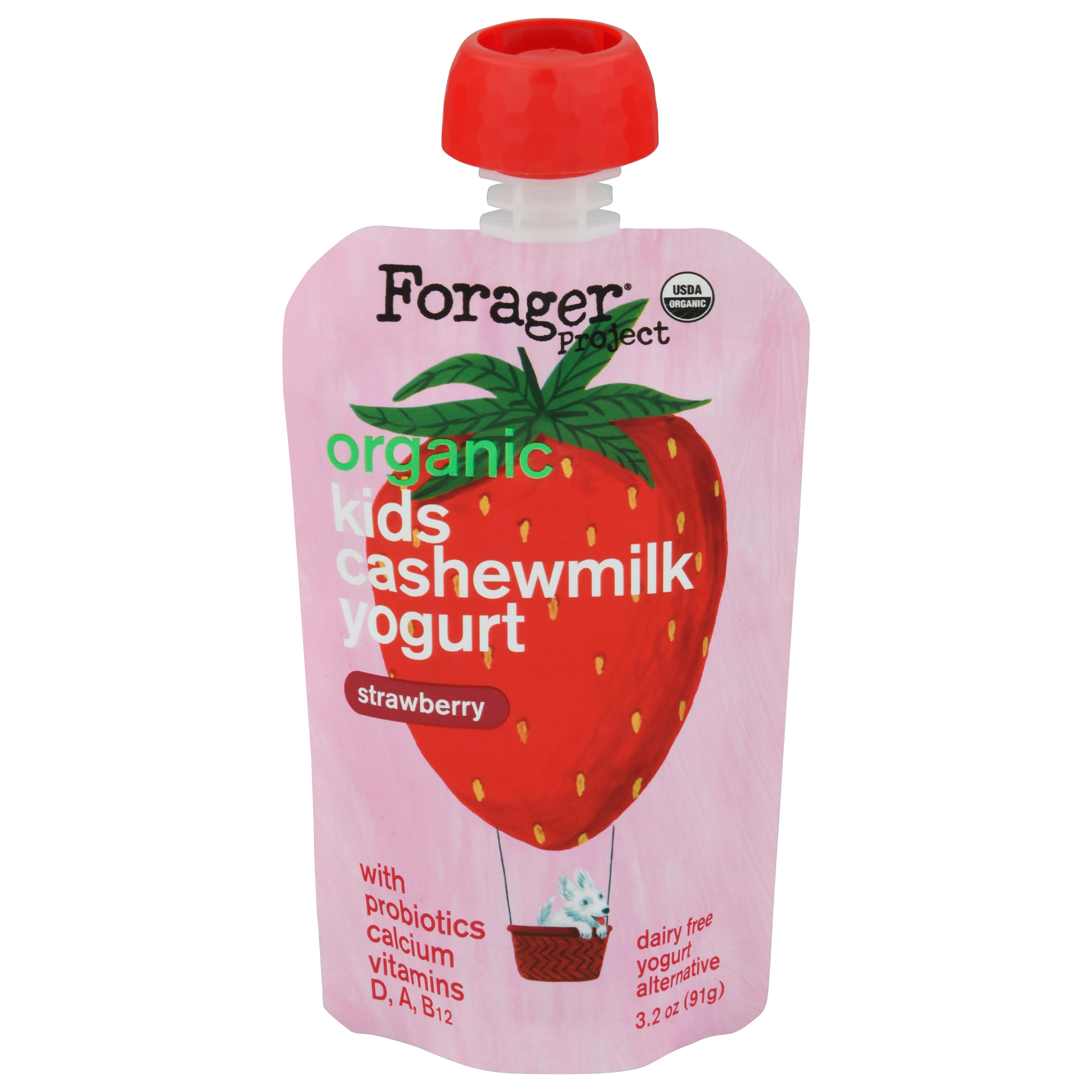 Forager Project Dairy Free Organic Kids Strawberry Cashewmilk Yogurt