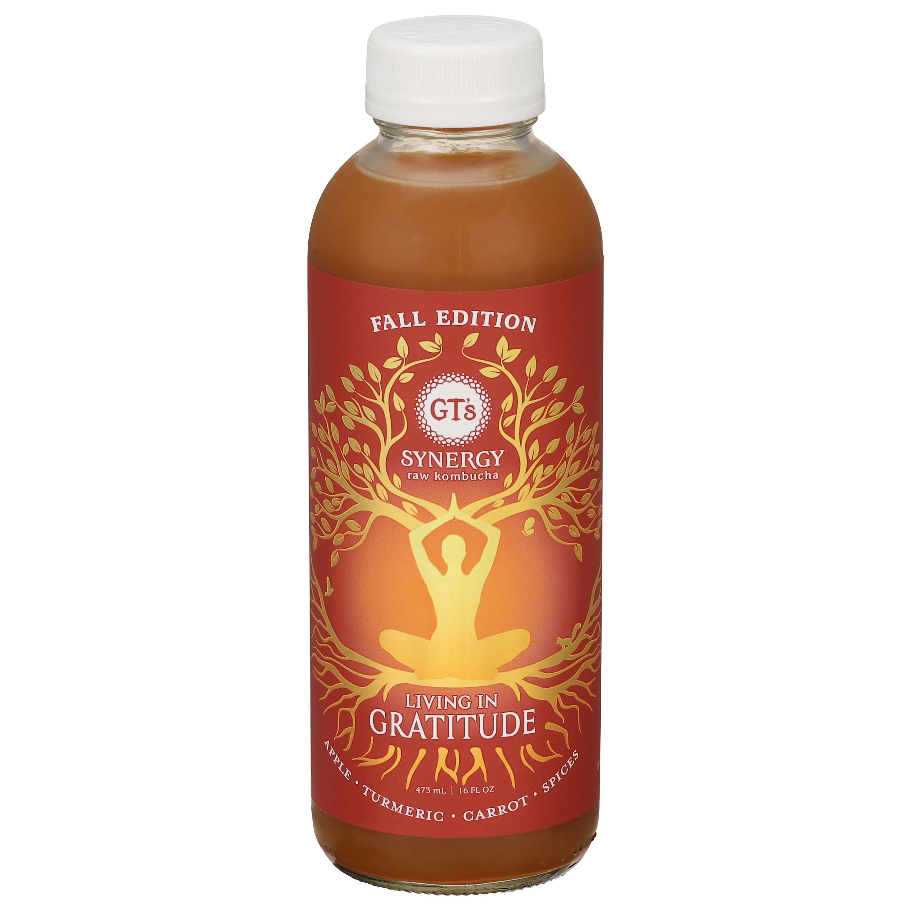 GT's Synergy Raw Living in Gratitude Kombucha