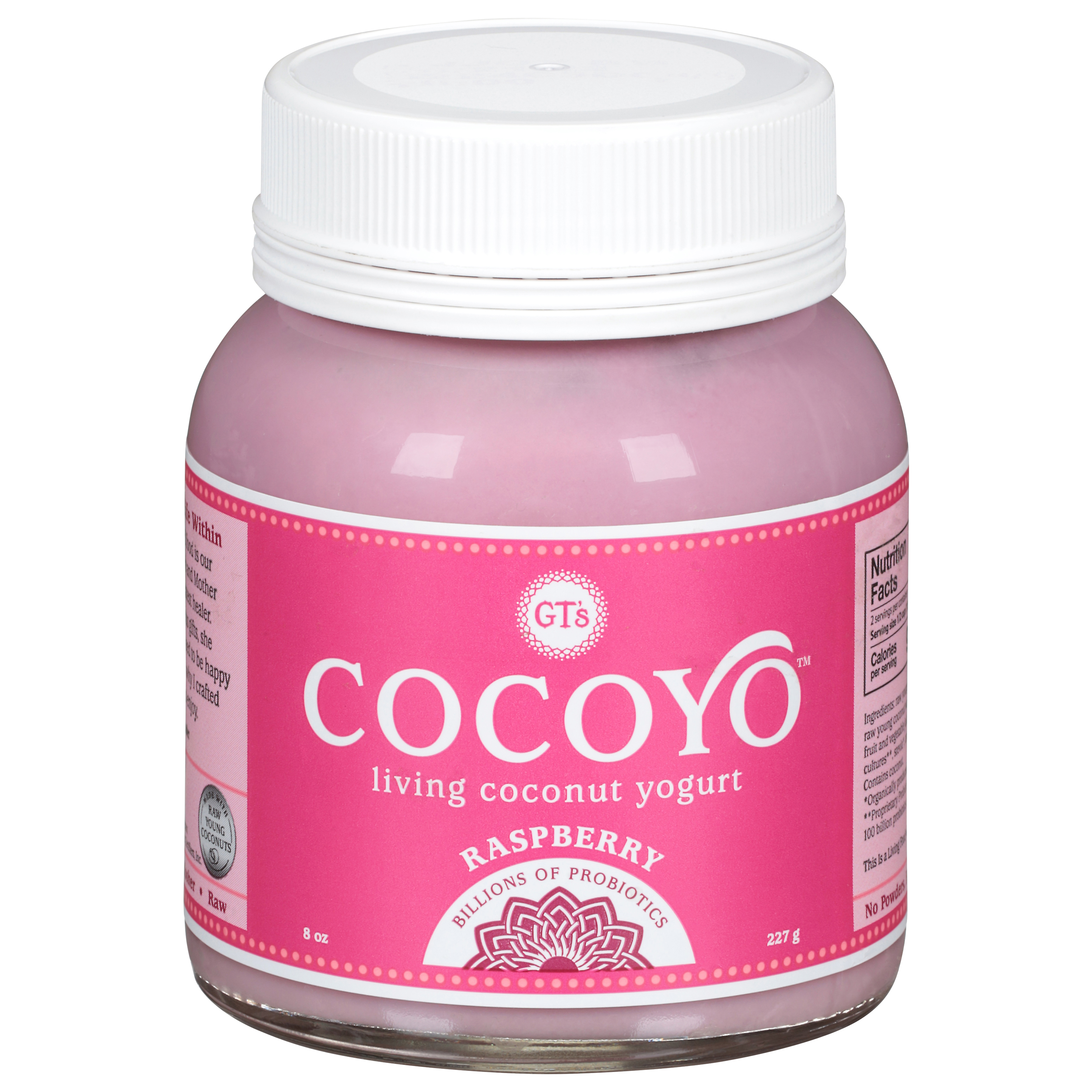 GT's Cocoyo Raspberry Coconut Yogurt