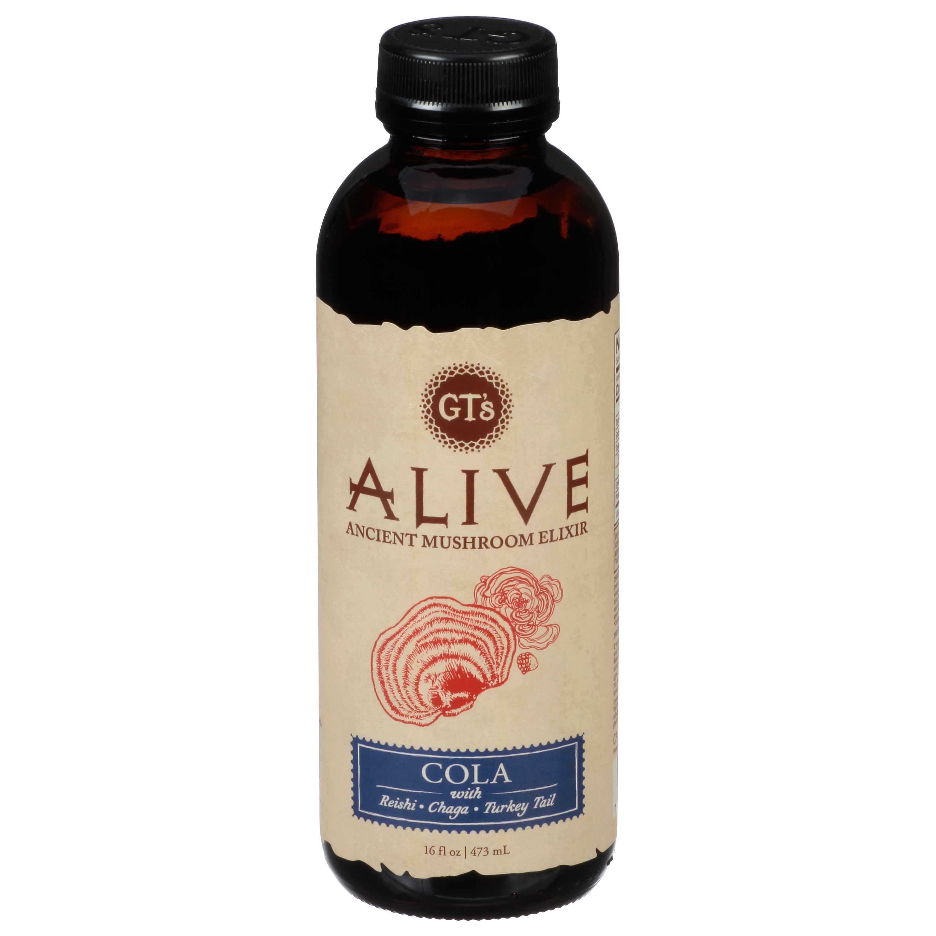 GT's Alive Cola with Reishi Chaga Turkey Tail Ancient Mushroom Elixir