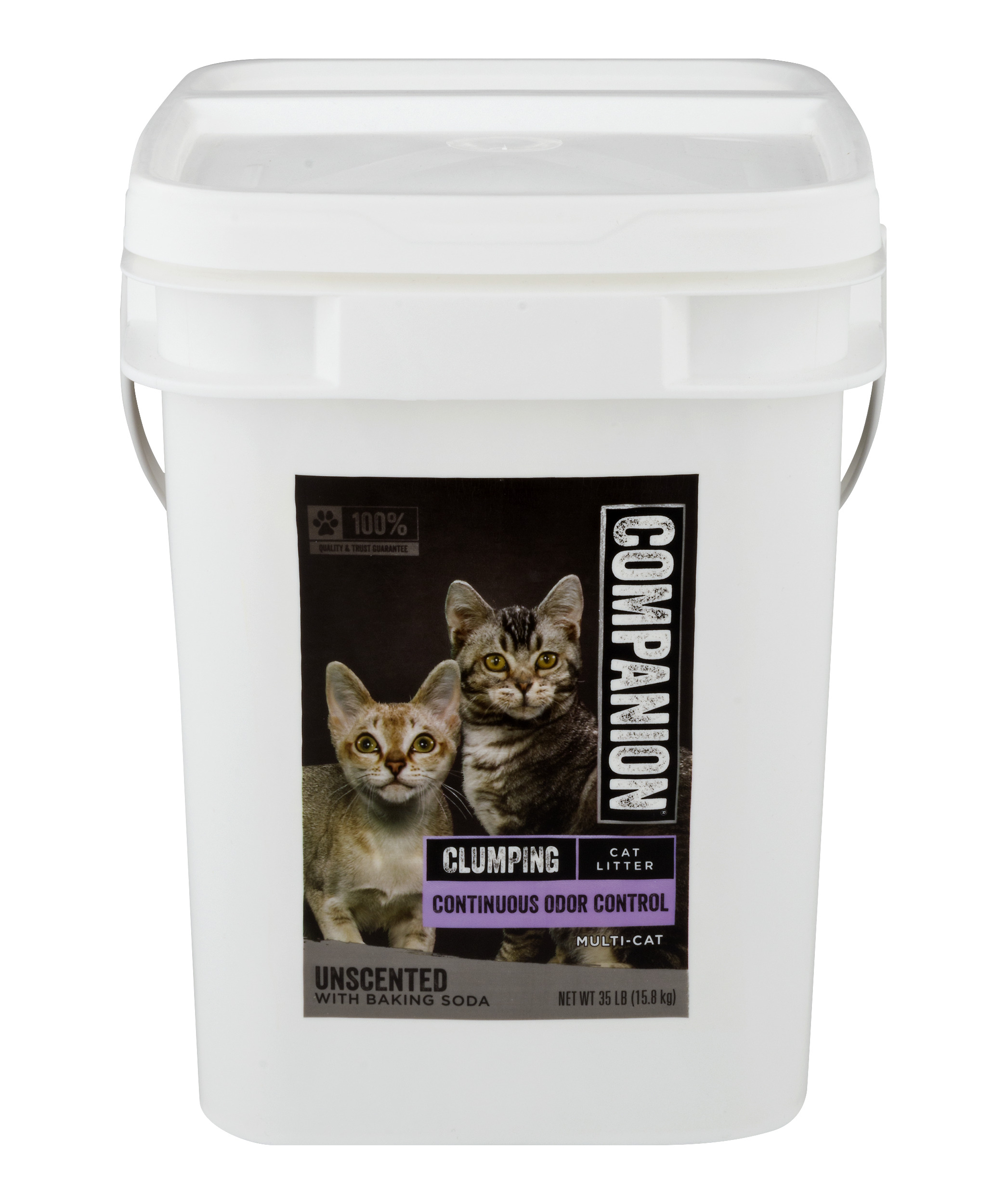 Companion Clumping Cat Litter Unscented With Baking Soda