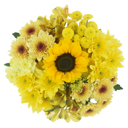 Cub Floral Sunny Day Bouquet, 1 Each