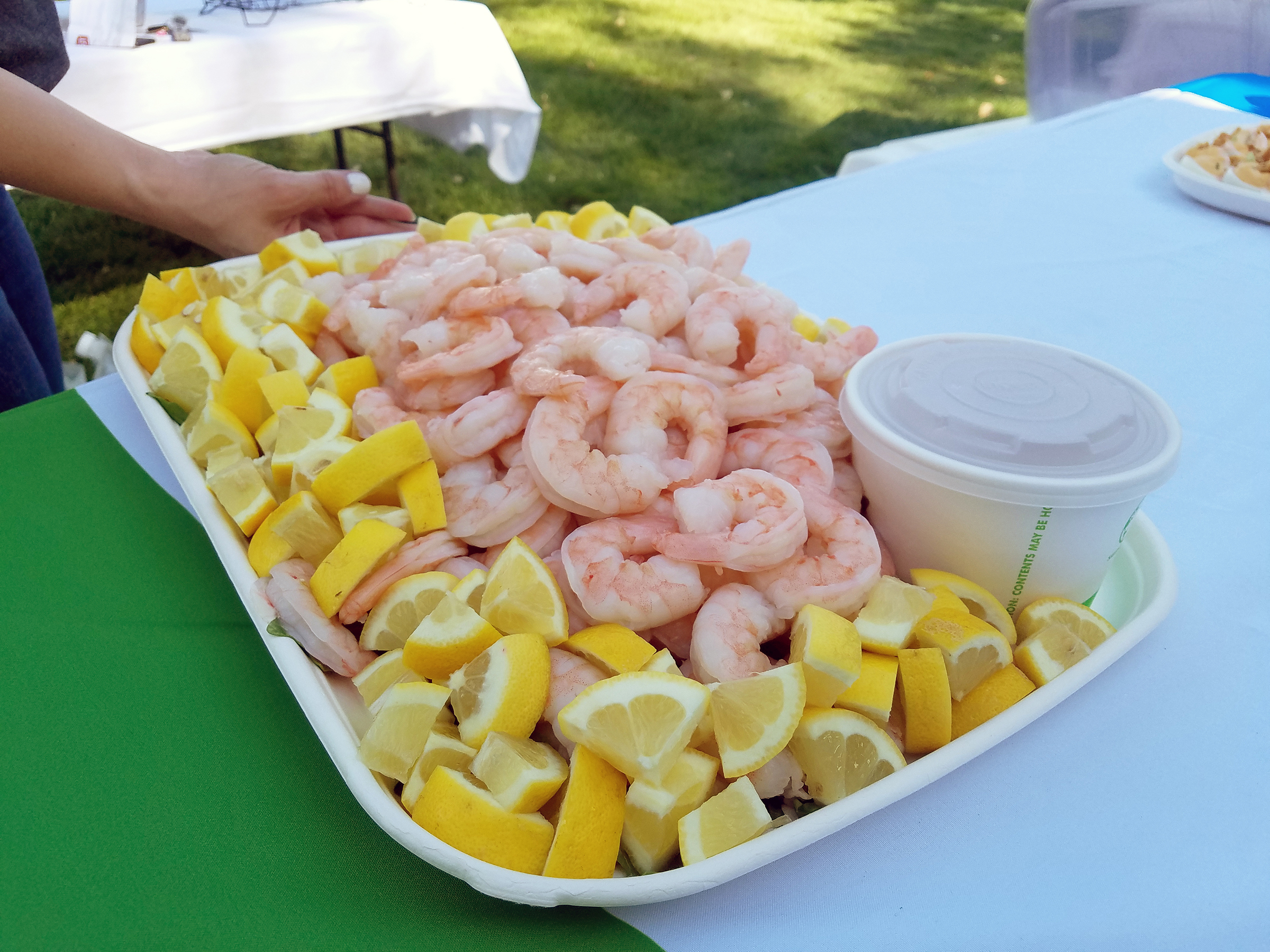 EP-SCTR1317 13x17 TRAY SUGARCANE 100/CS