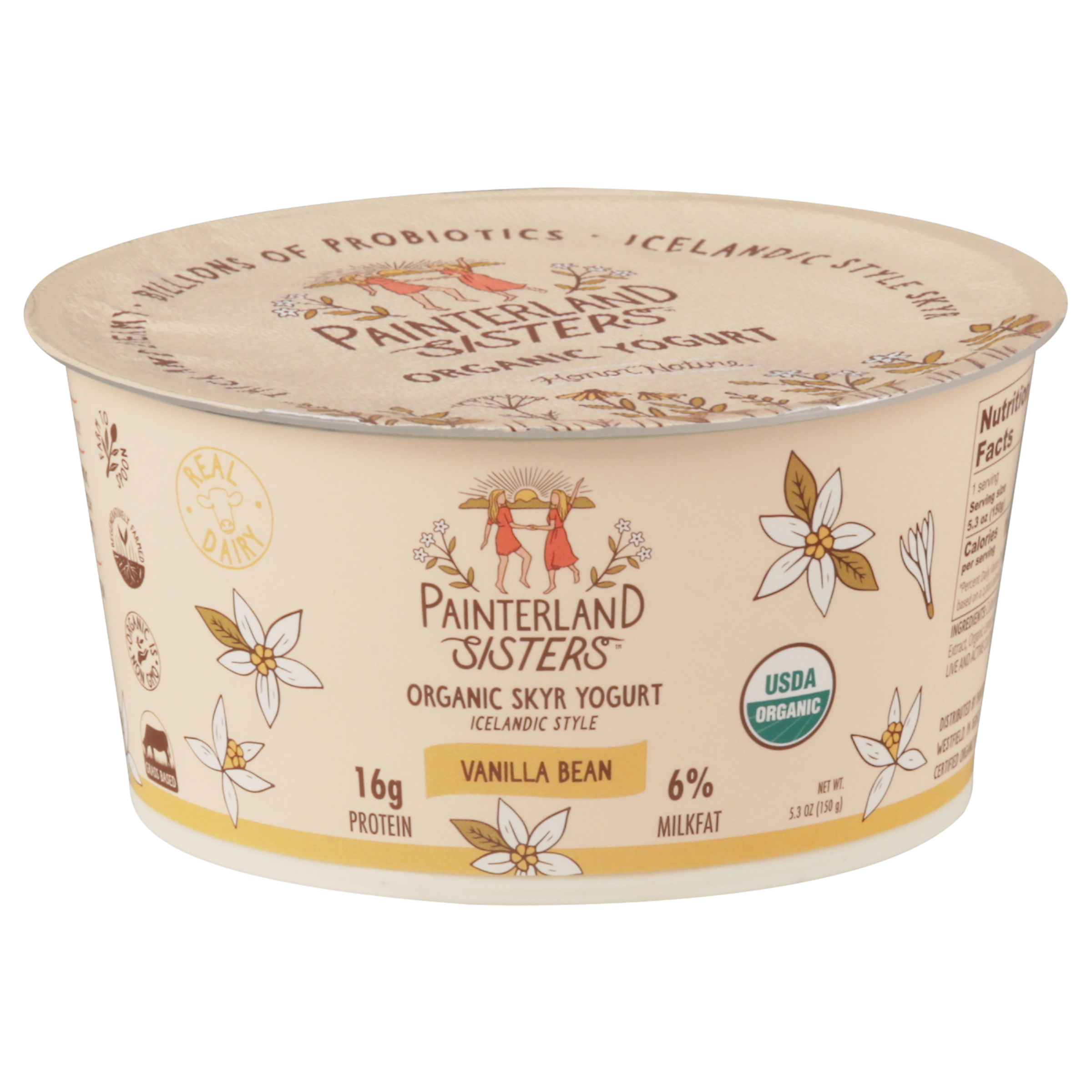 Painterland Sisters Organic Skyr Icelandic Style Vanilla Bean Yogurt