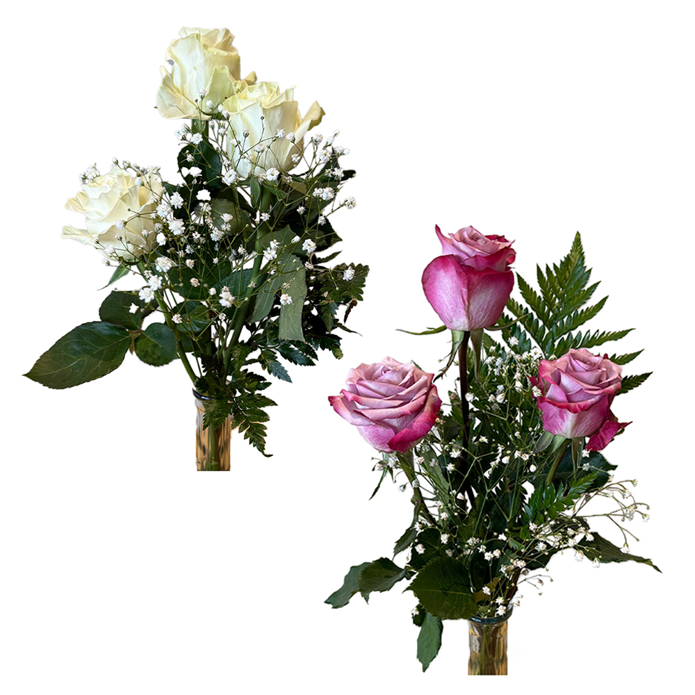 Cub Three Rose Arrangement (Vase Included)