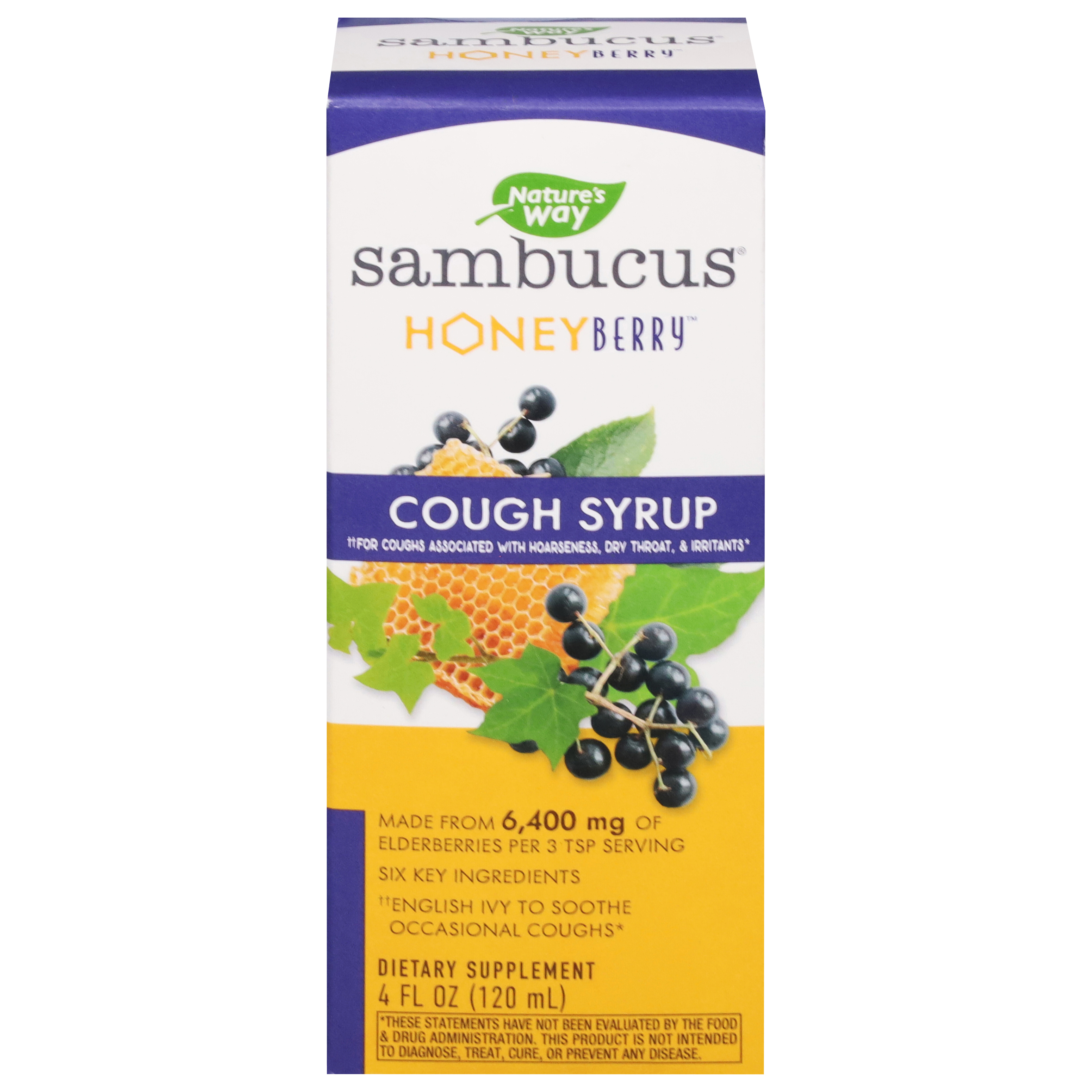 Nature's Way Sambucus Honey Berry Cough Syrup