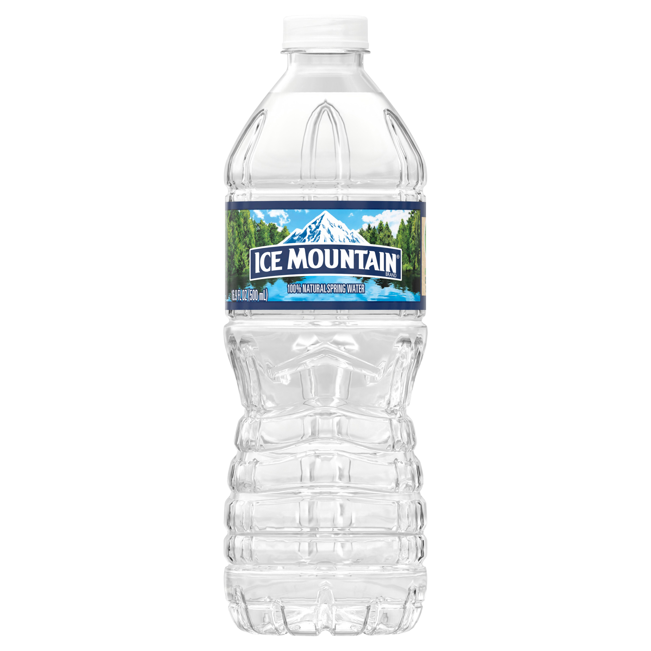 ICE MOUNTAIN Brand 100% Natural Spring Water, 16.9-ounce plastic bottle