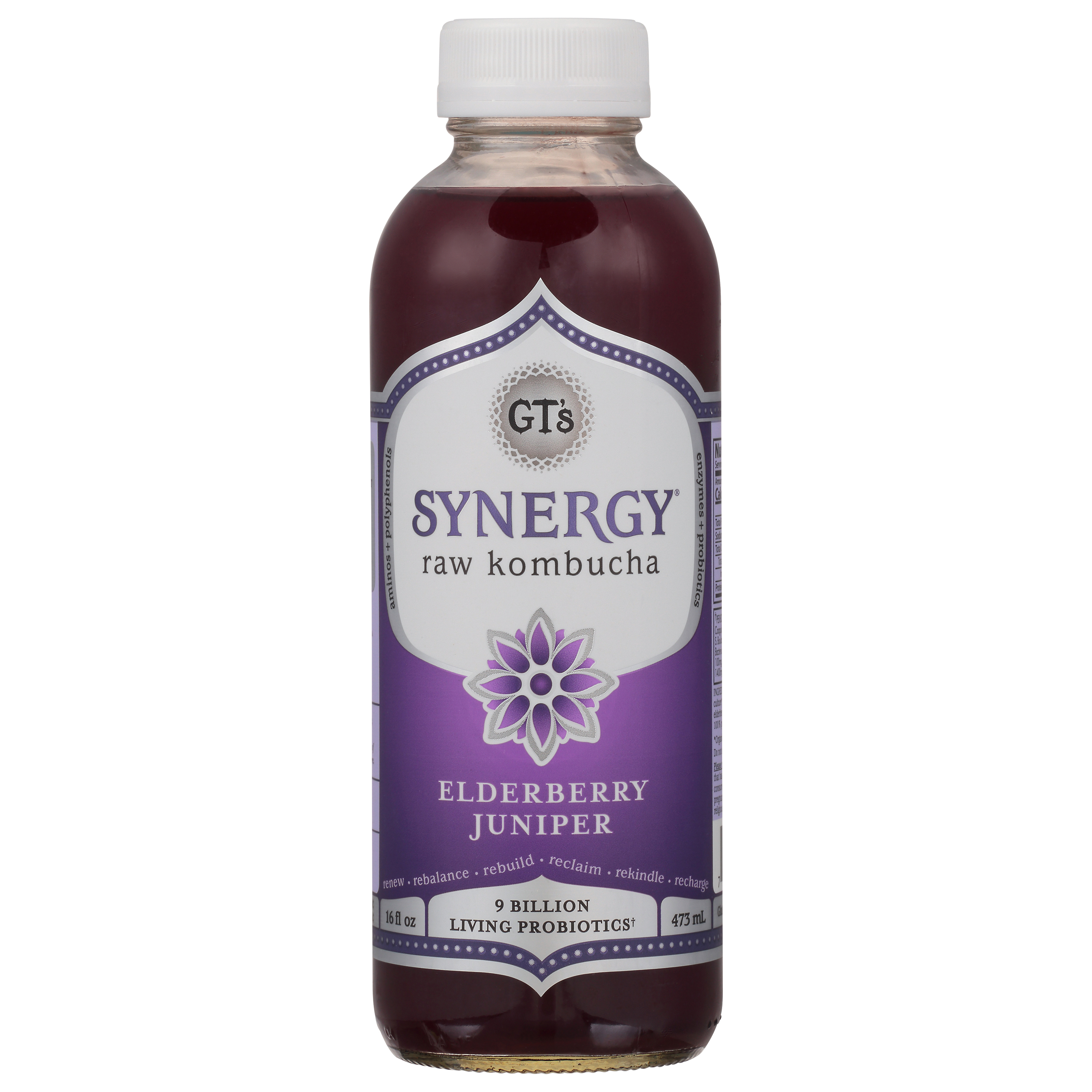 GT's Synergy Raw Elderberry Juniper Kombucha