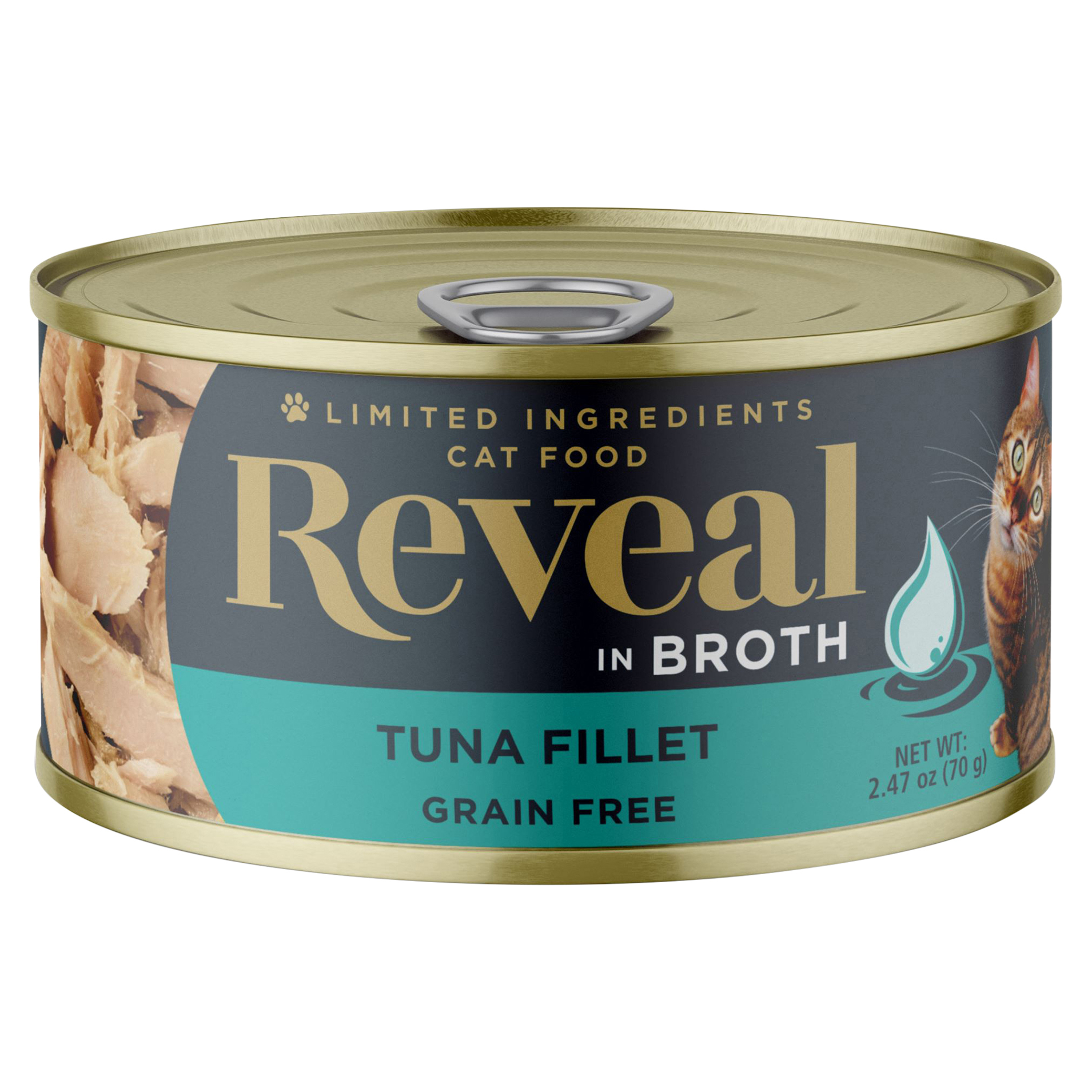 Tuna Fillet
