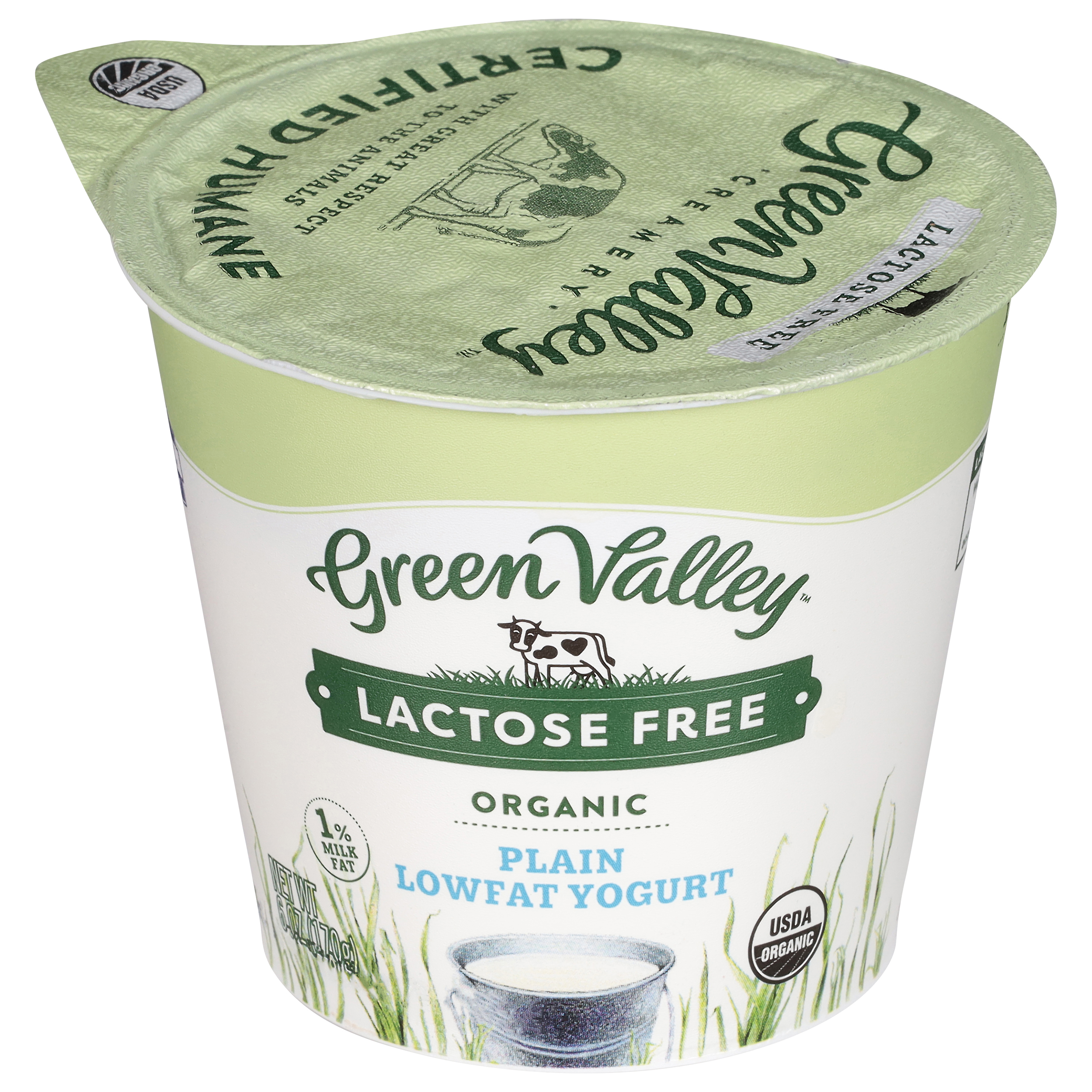 Green Valley Lactose Free Lowfat Organic Plain Yogurt